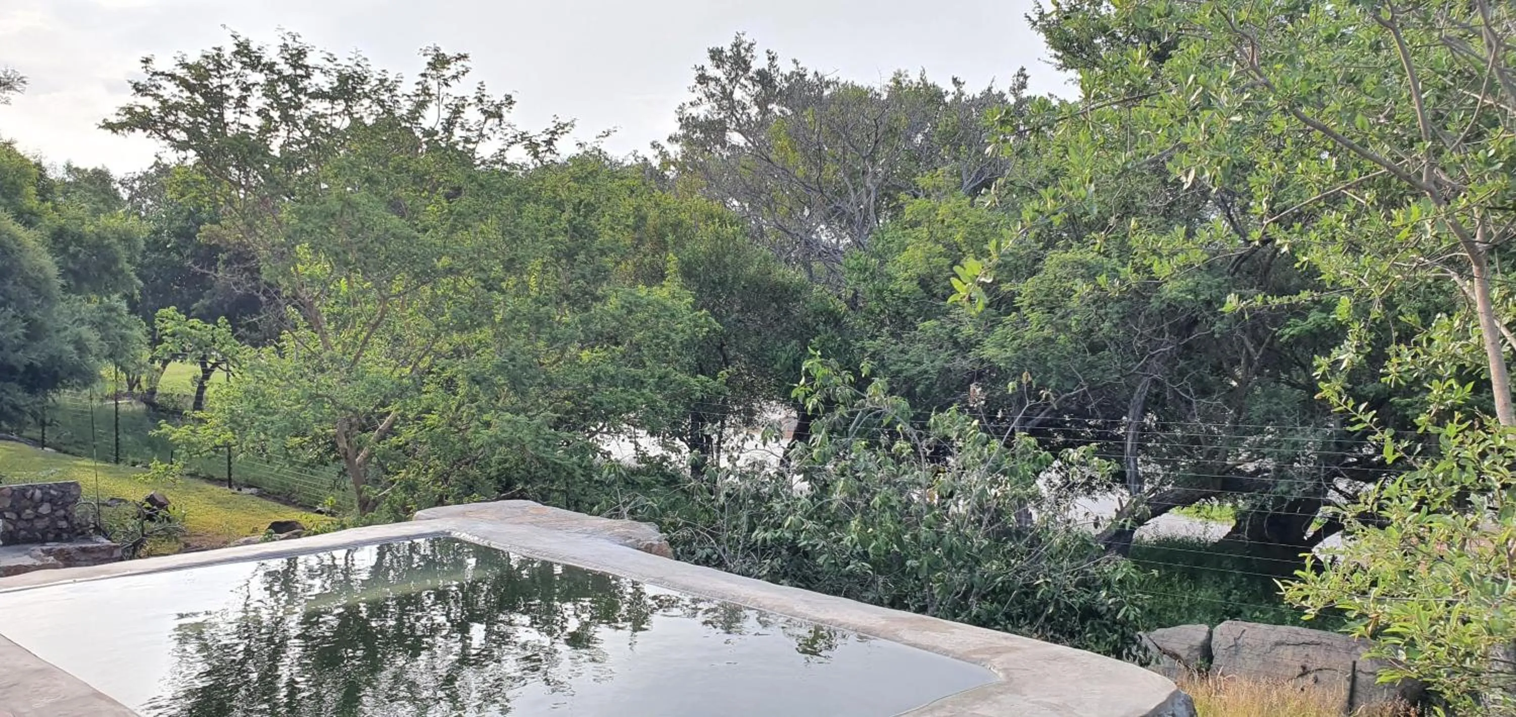 Pool view in Hasekamp Hospitality