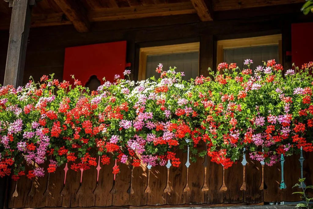 Property building in Hotel Sonnenhalde, Arosa