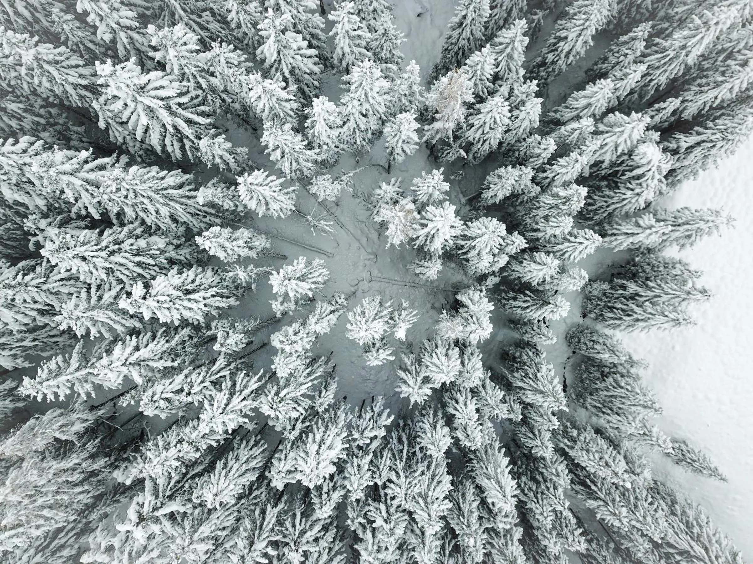 Winter in Hotel Sonnenhalde, Arosa