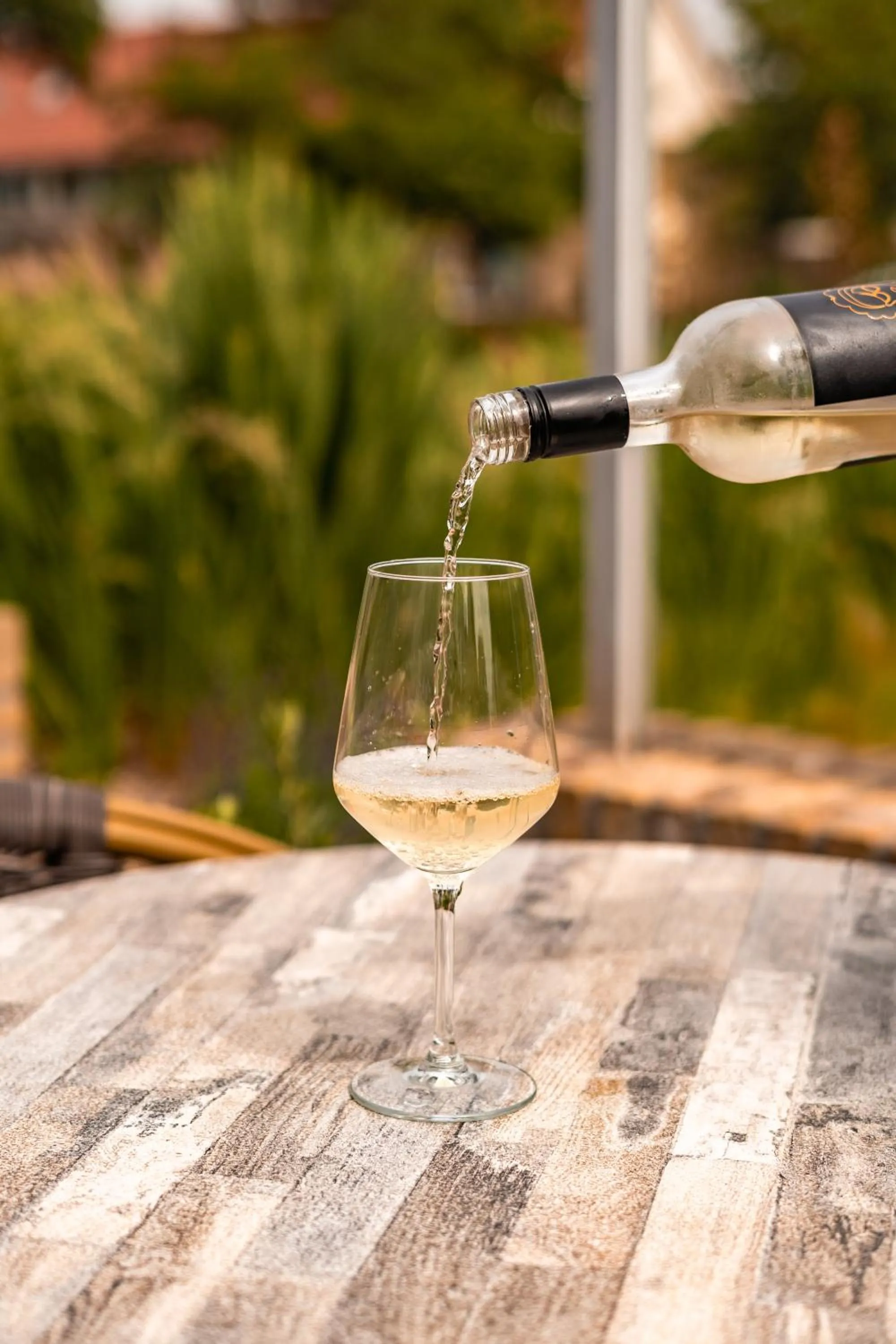 Food and drinks in Hotel het Zwaantje