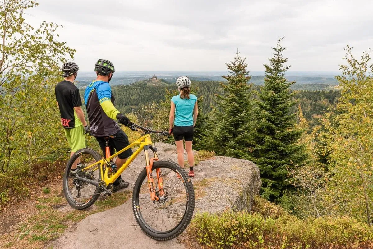 Cycling in Logis Hôtel Notre-Dame - restaurant ouvert midi et soir sauf dimanche soir