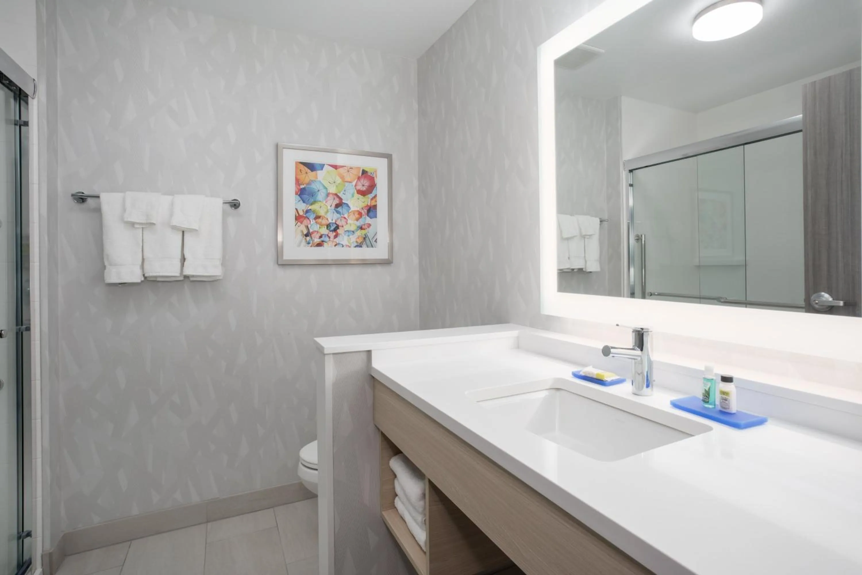 Shower in Holiday Inn Express & Suites - Denver NE - Brighton by IHG