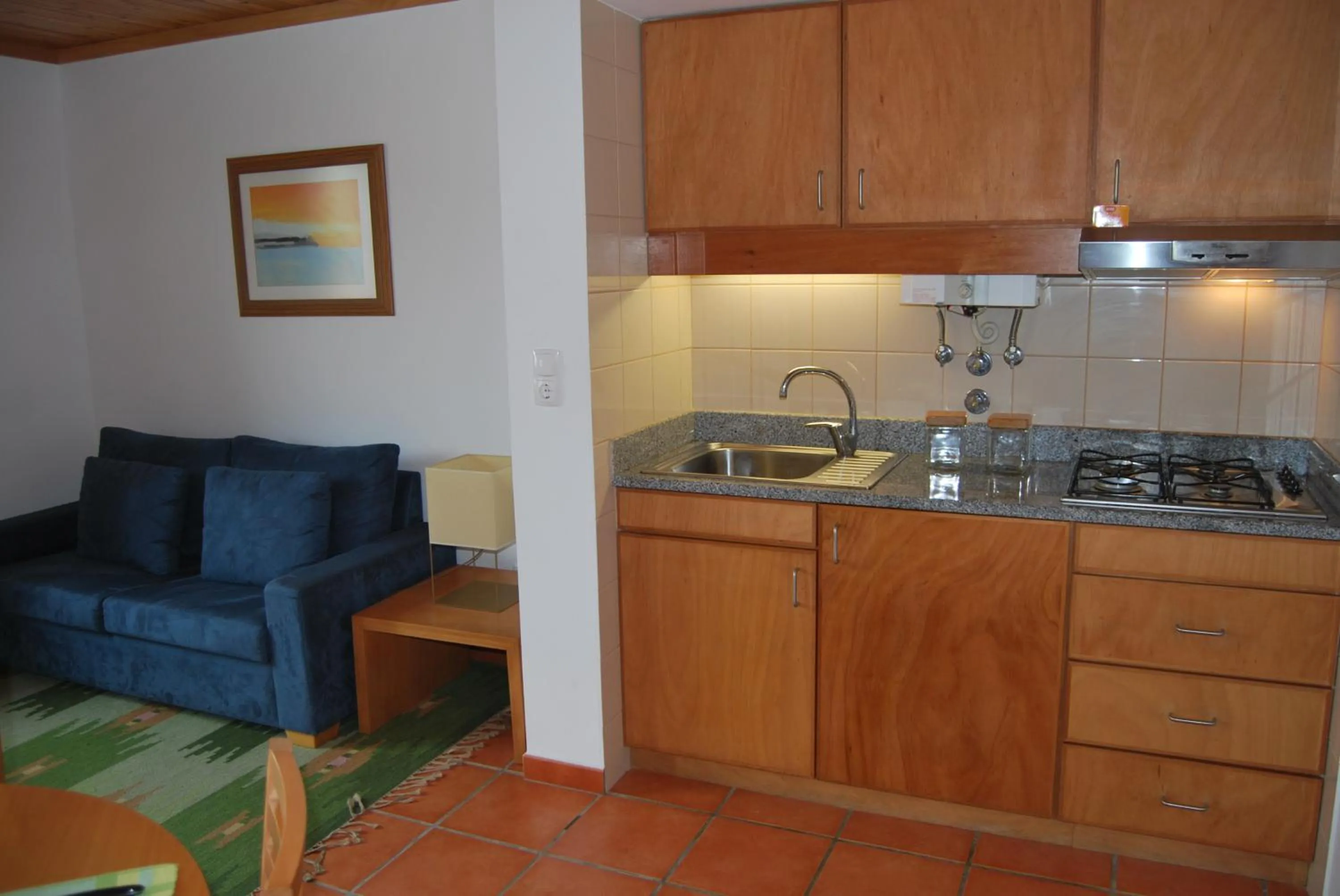 Kitchen or kitchenette in Apartamentos Turisticos Nossa Senhora Da Estrela