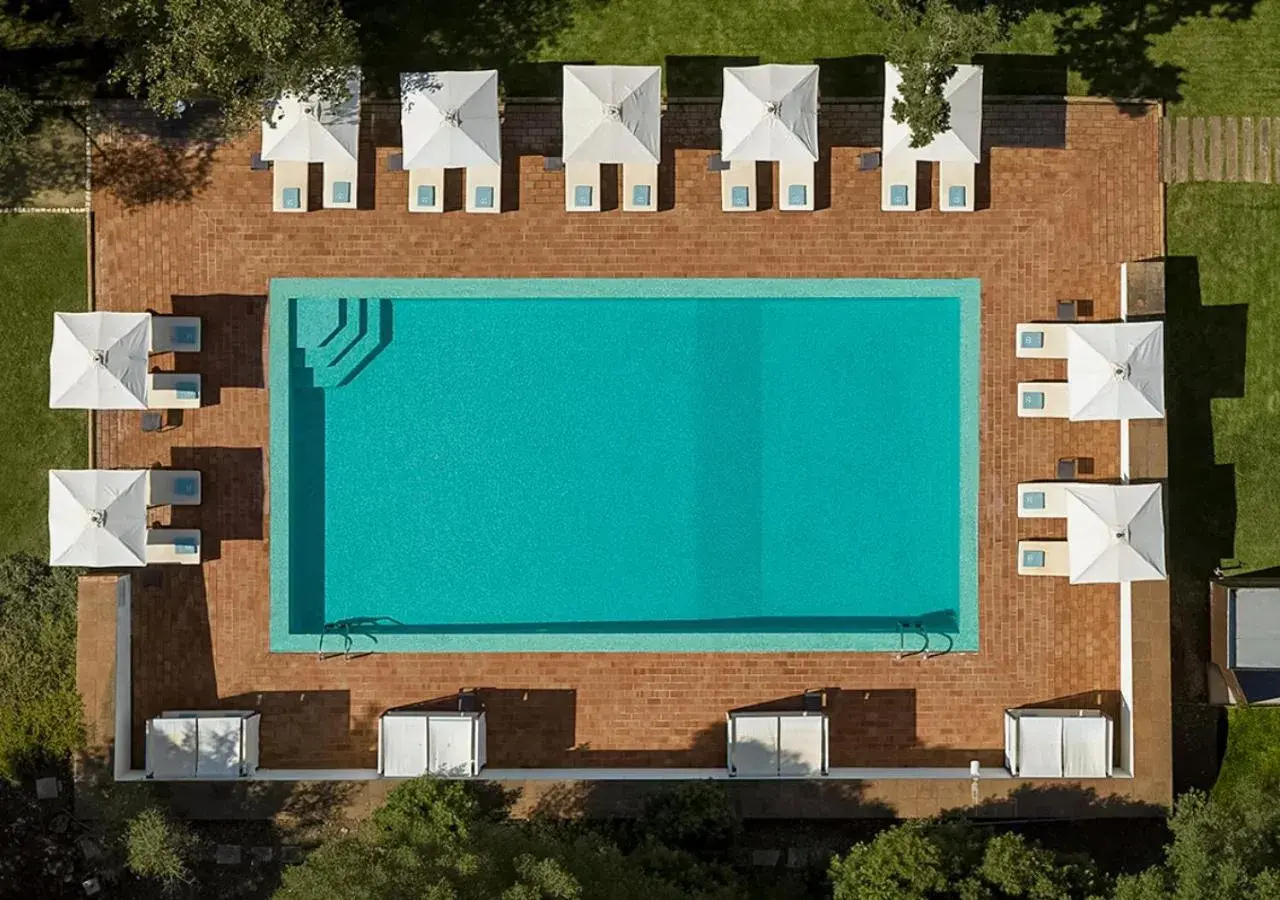 Swimming pool in Octant Santiago Swimming pool in Octant Santiago