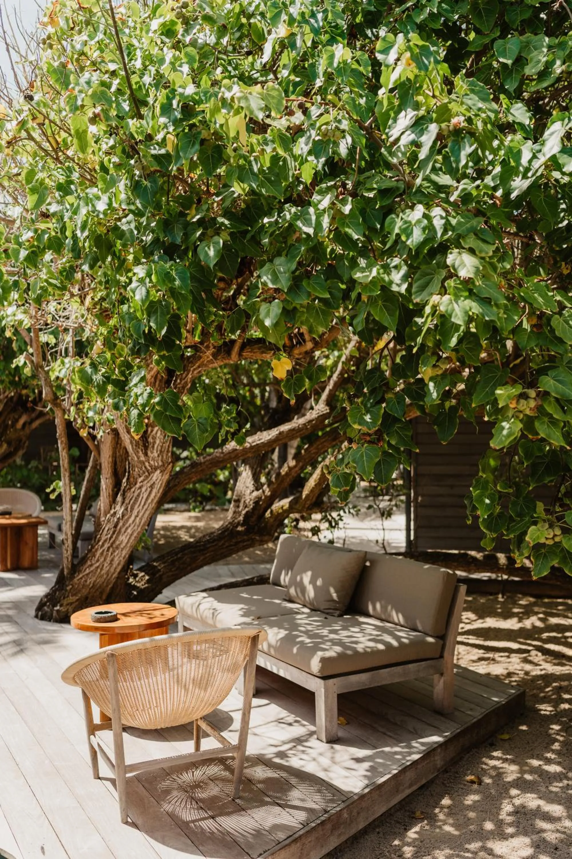 Garden in Hotel Manapany