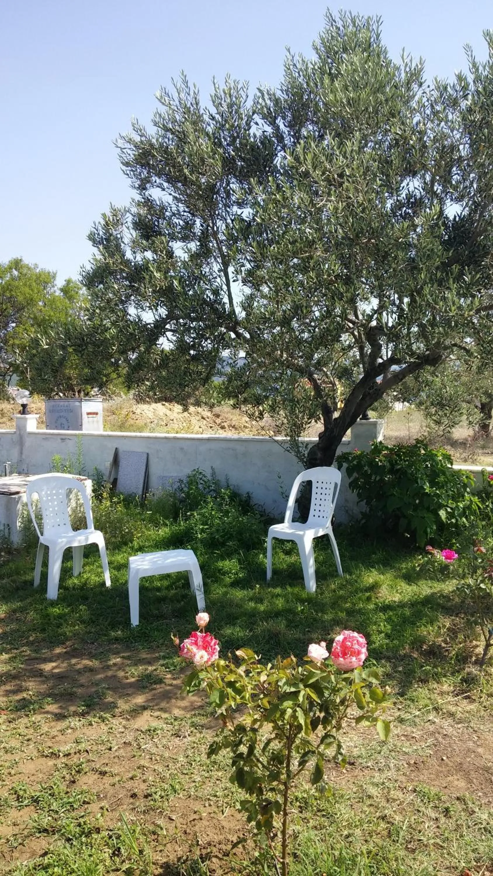 Garden view in Villa Bagci Hotel