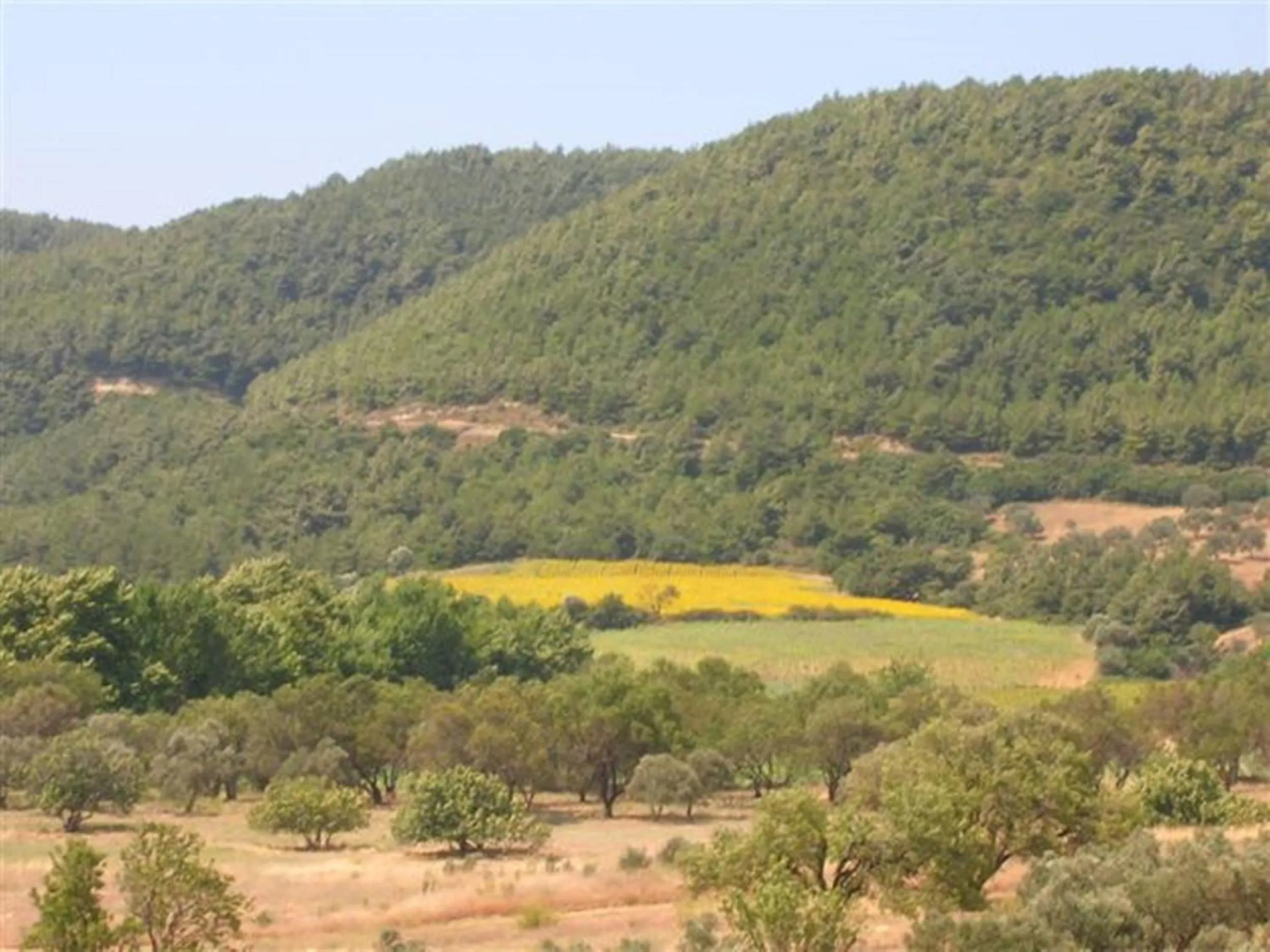 Mountain view in Villa Bagci Hotel