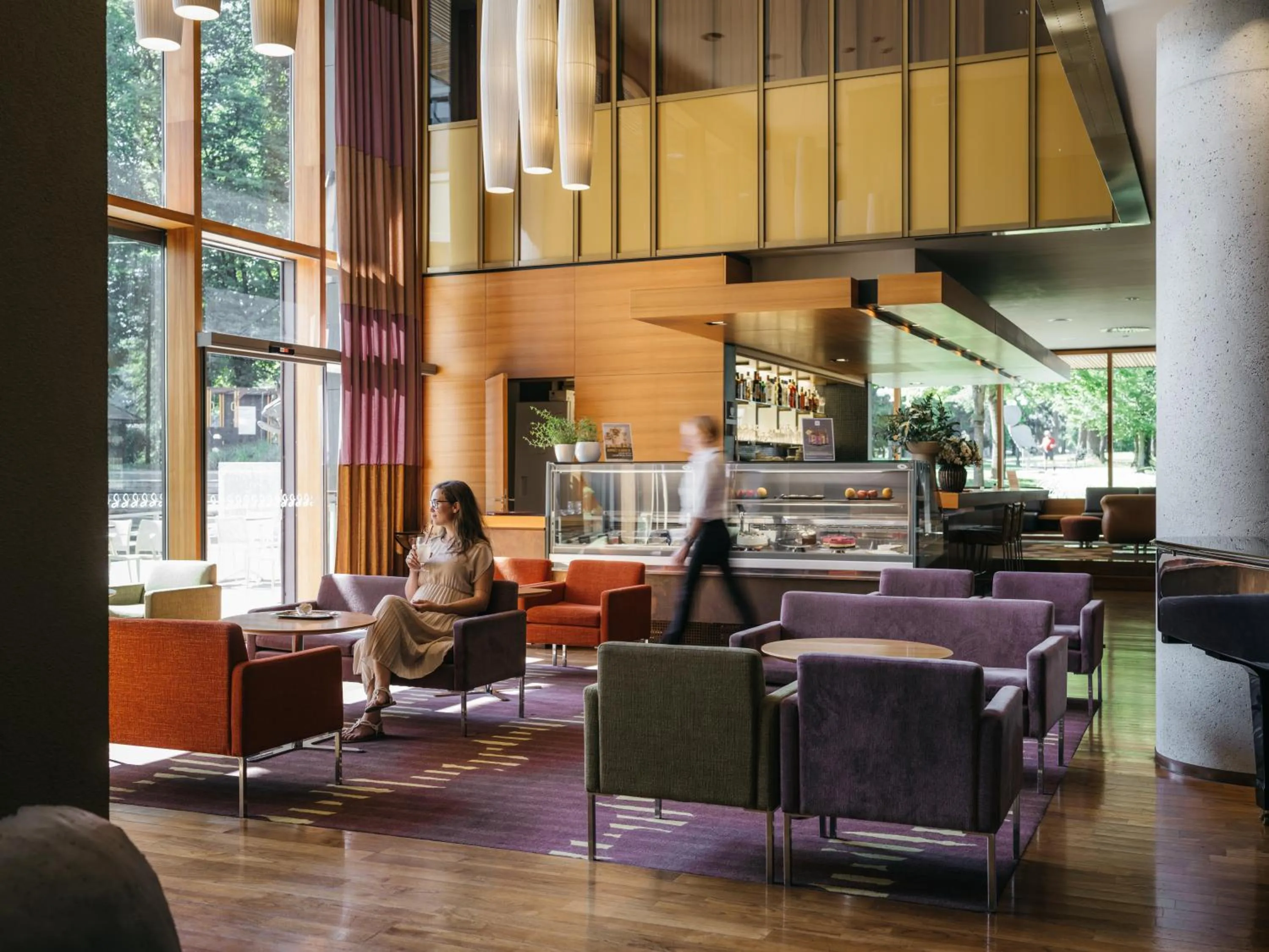 Lounge or bar in Hotel Balnea Superior - Terme Krka