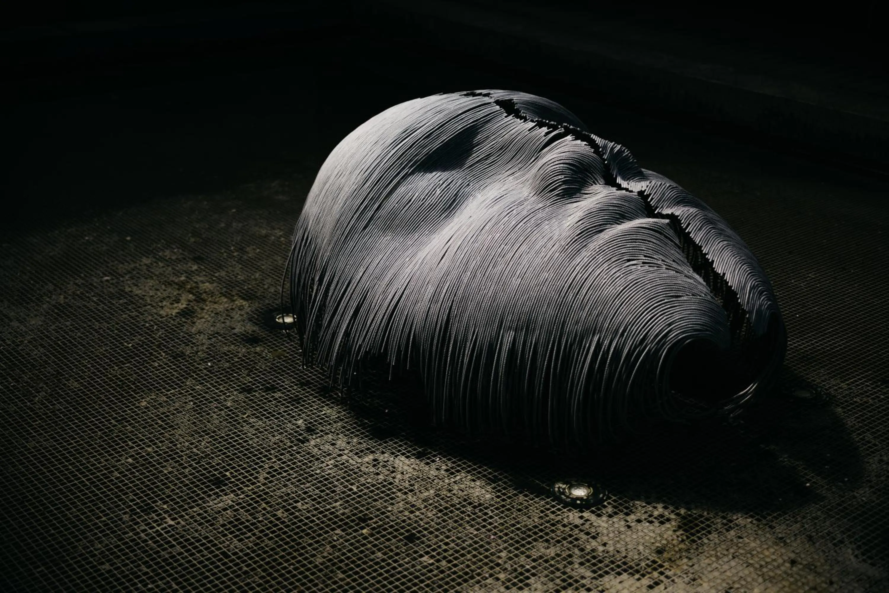 Property building in Hotel Balnea Superior - Terme Krka