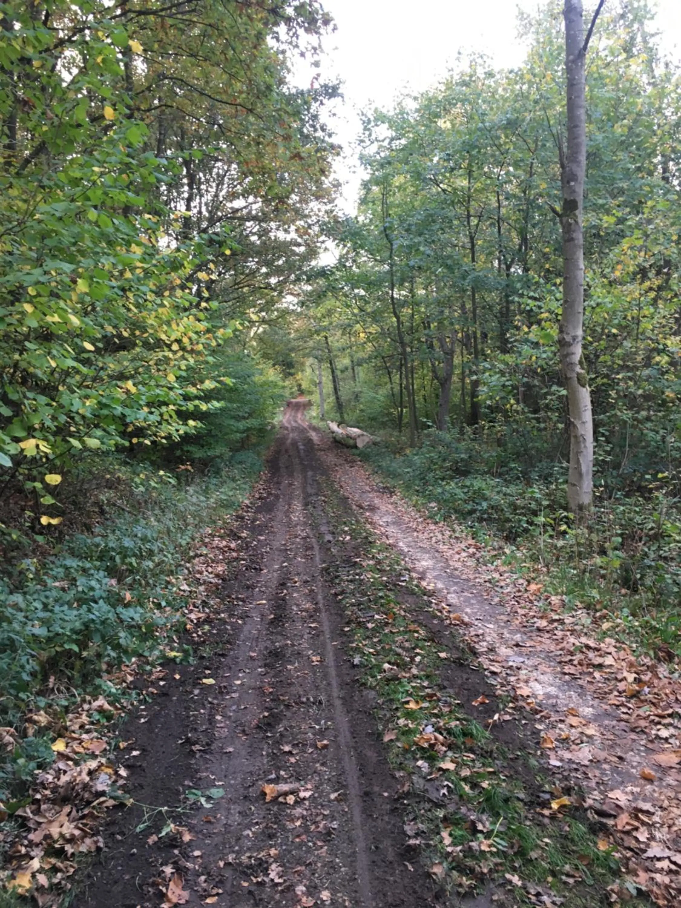 Off site in Hos Mette