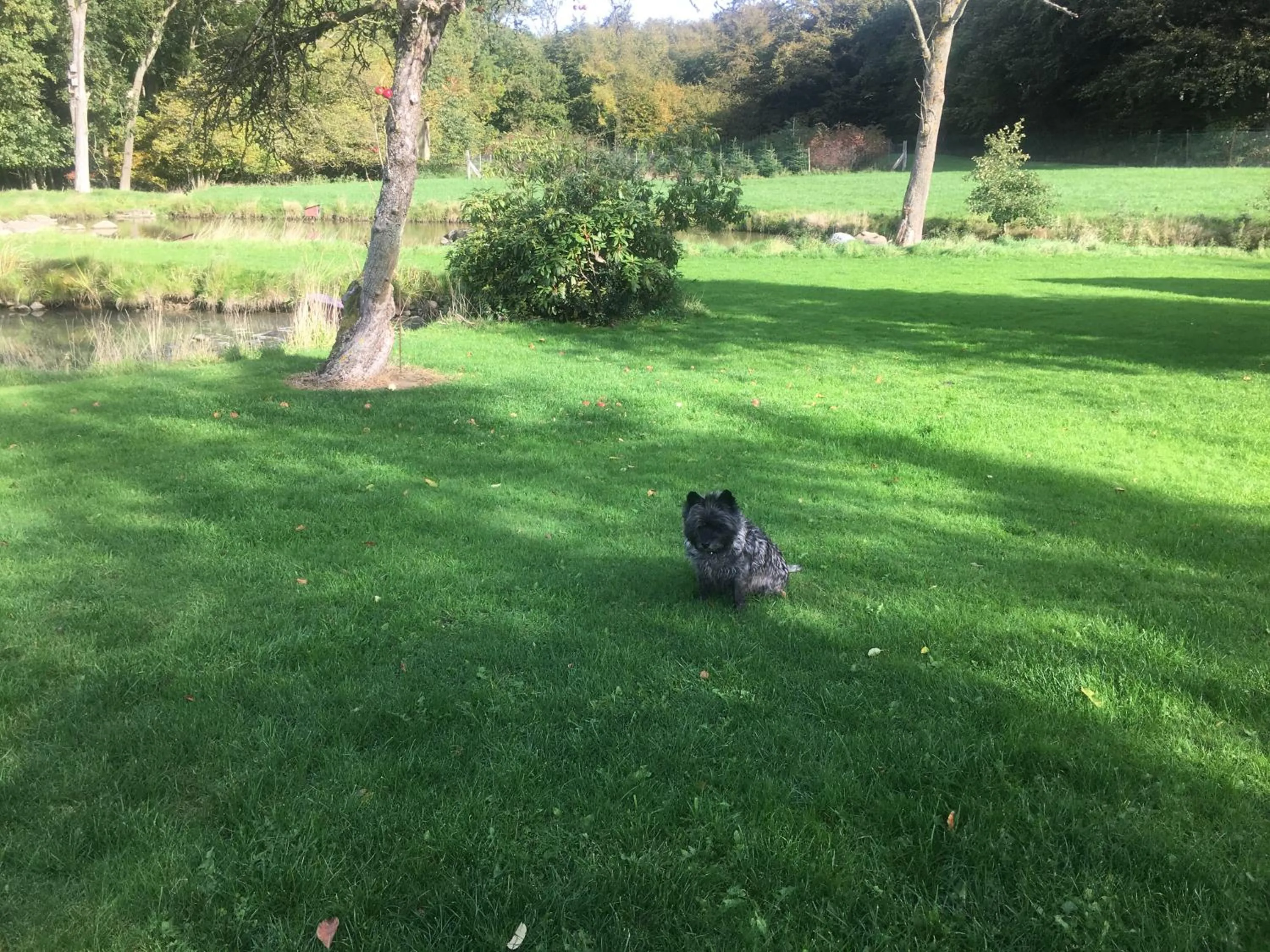 View (from property/room) in Hos Mette