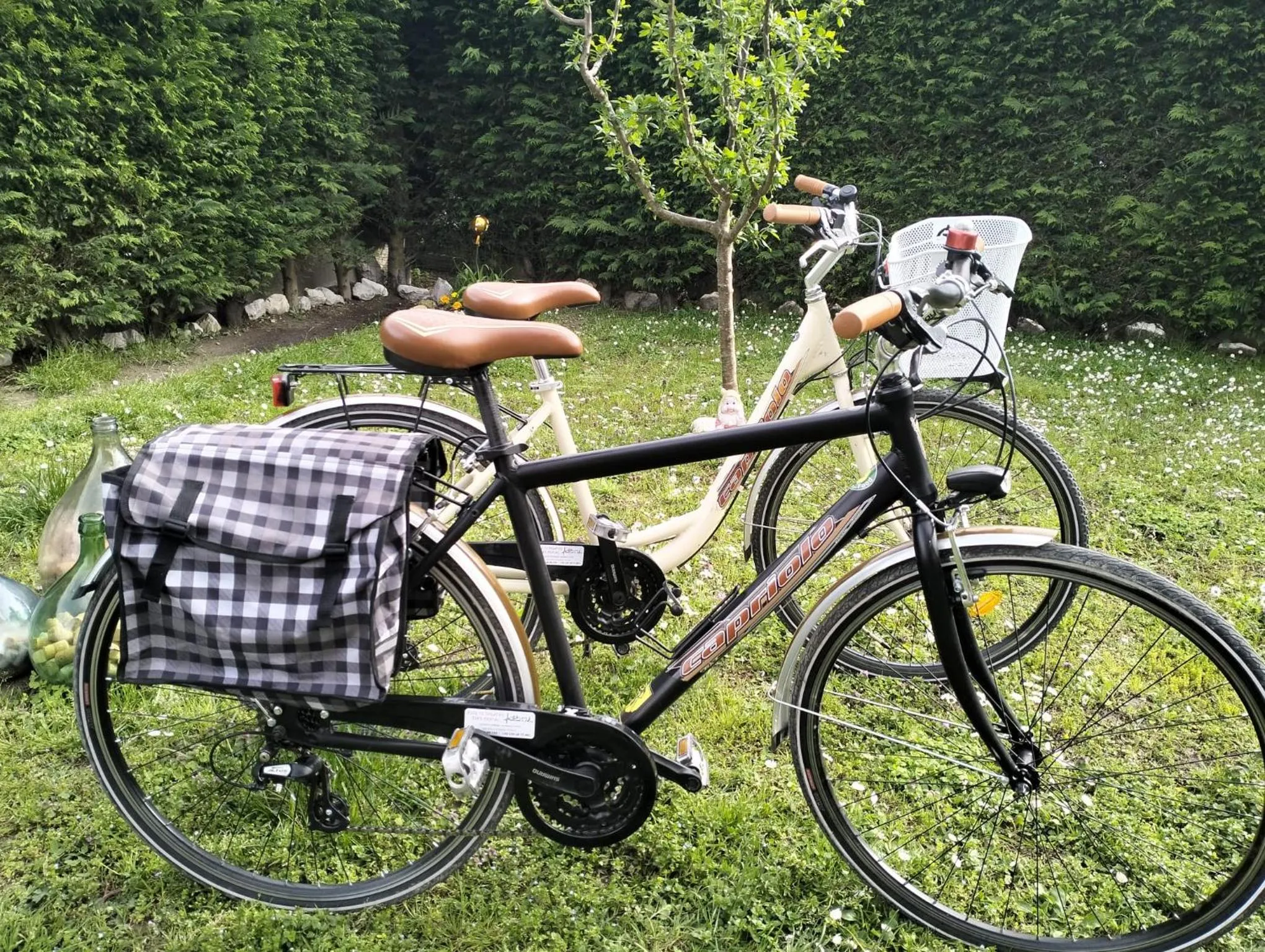 Day in Country House Campofiore