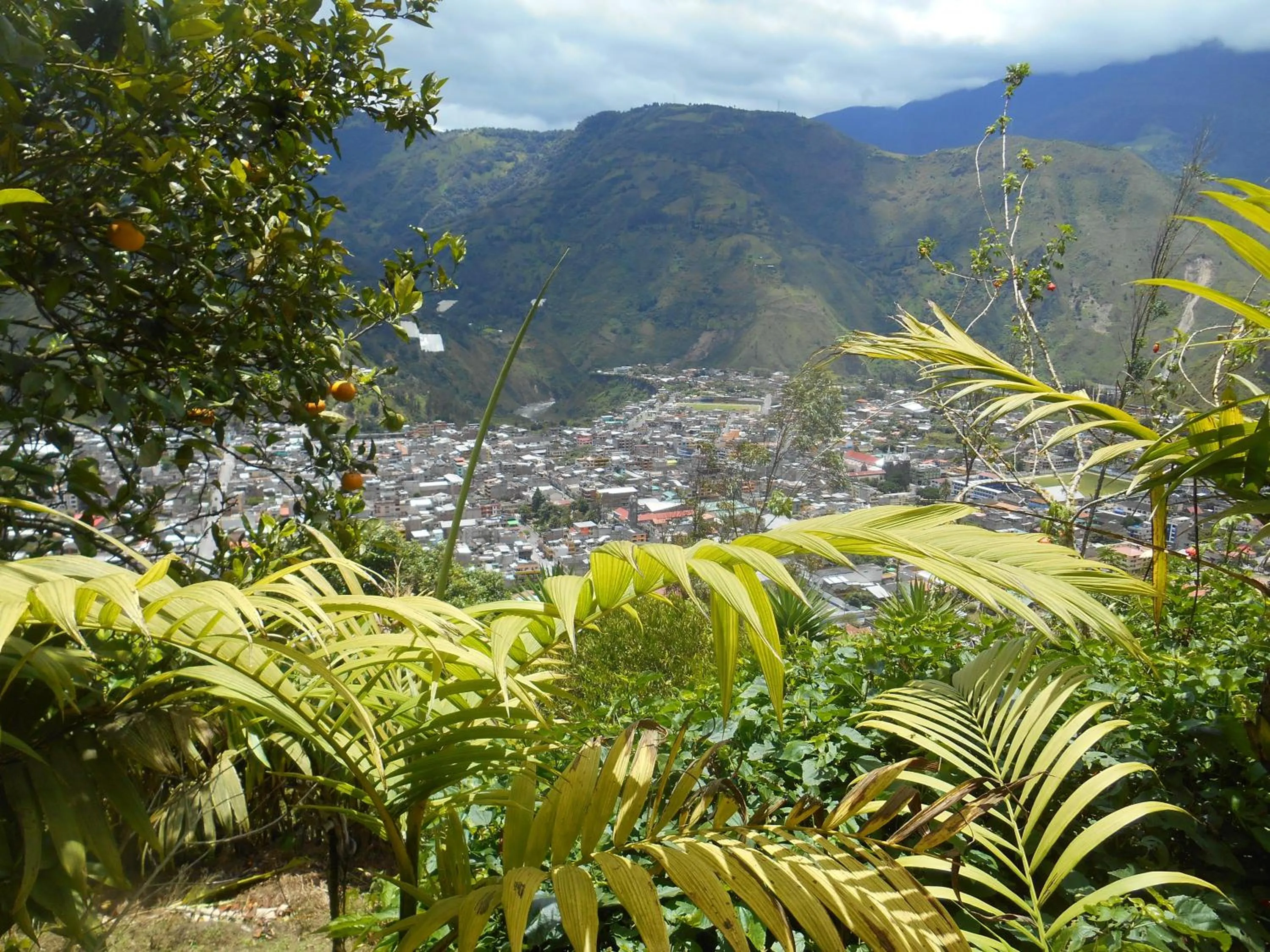 View (from property/room) in La Casa Amarilla