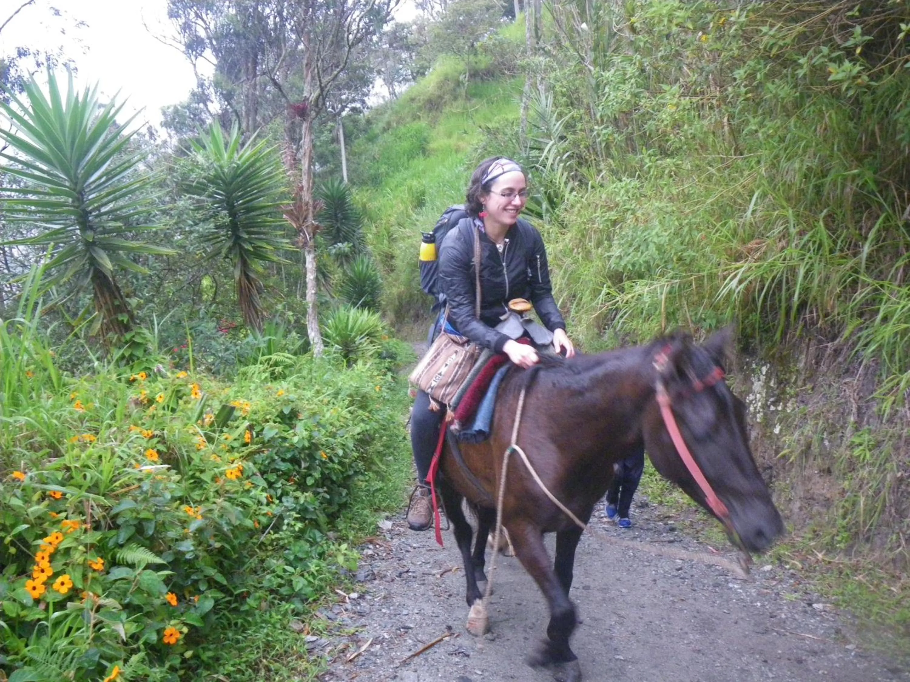 Location in La Casa Amarilla