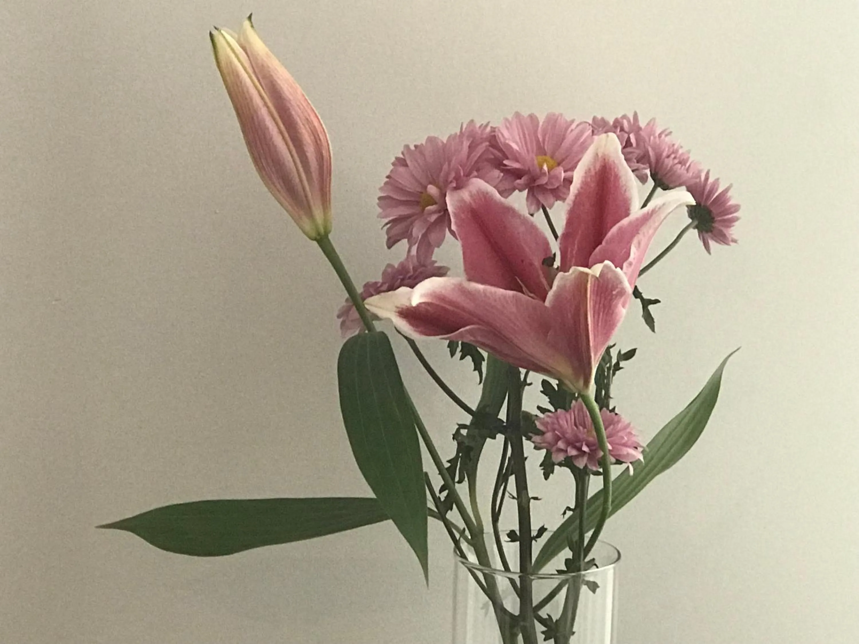 Cumbaza Hotel & Convenciones