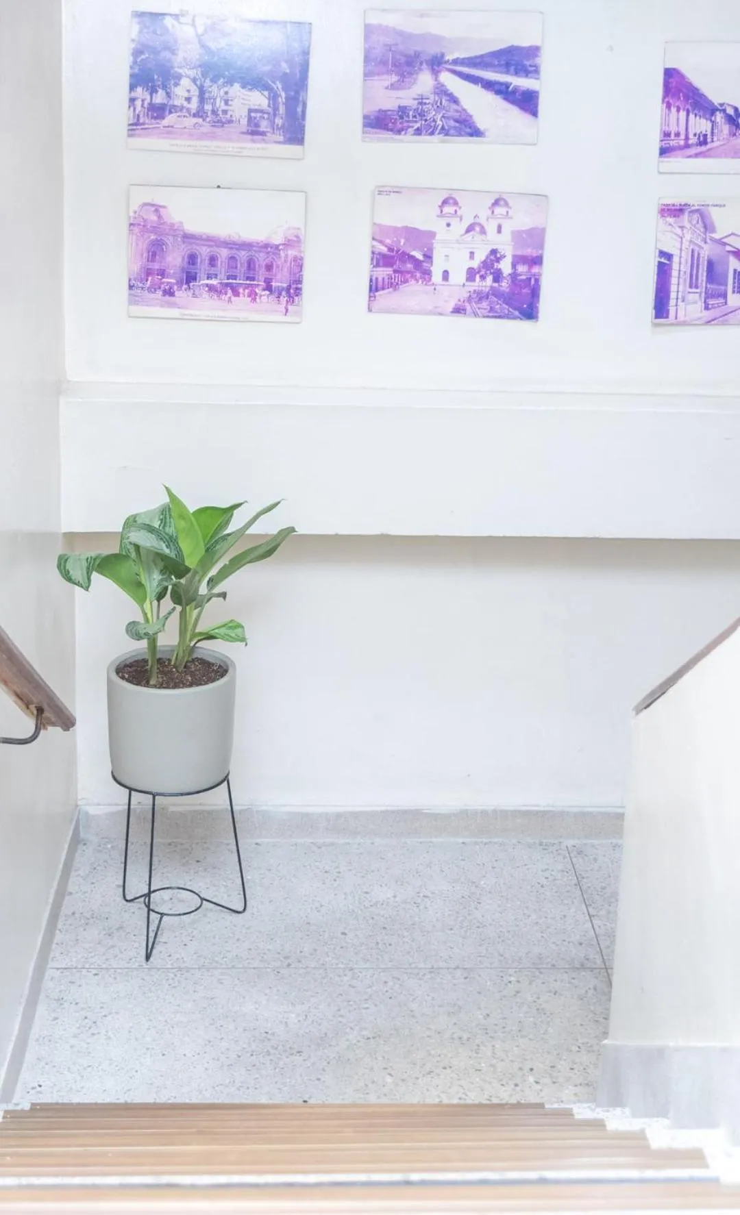 Hotel Conquistadores