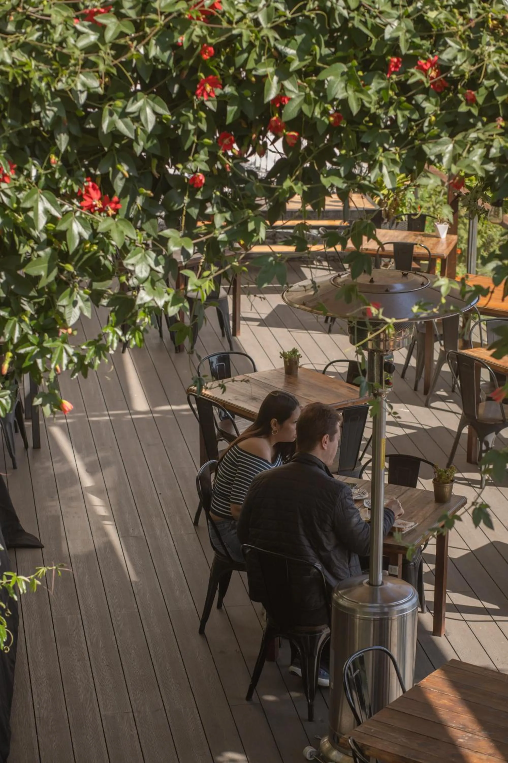 Restaurant/places to eat in Hotel Boutique 17