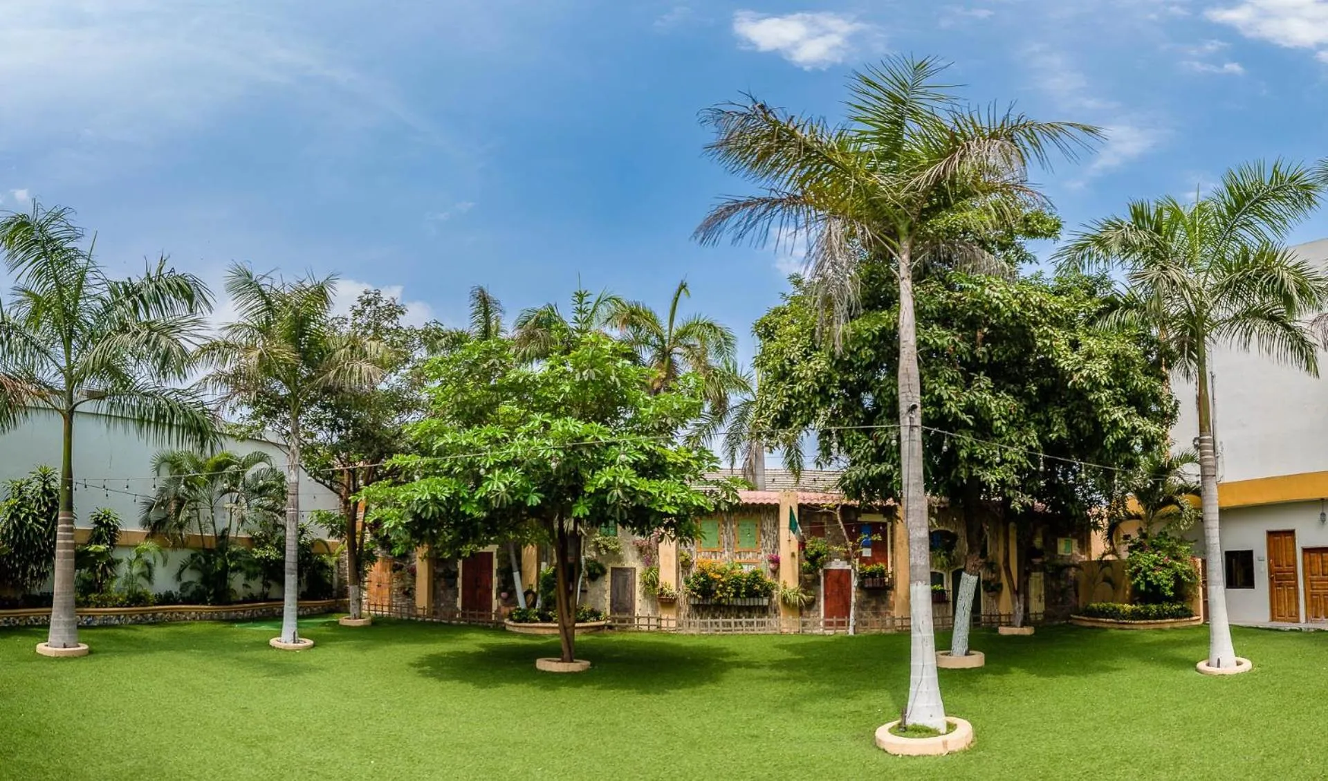 Garden in Hotel Genova Centro