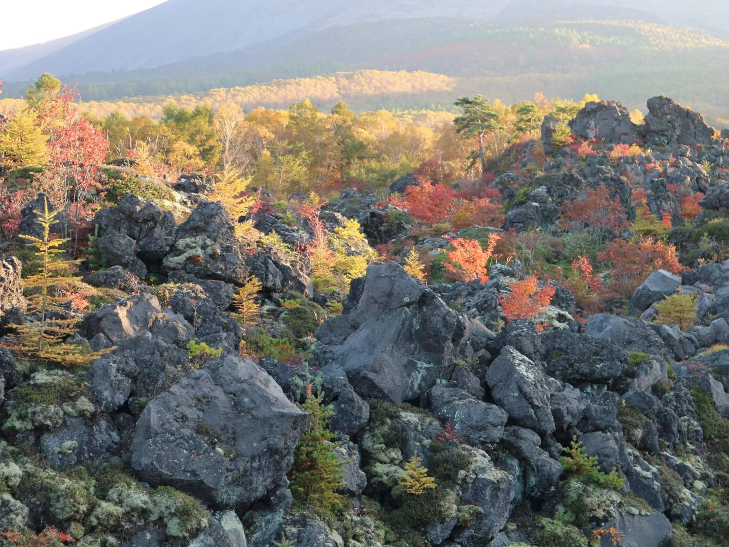 Nearby landmark in Pension Eden