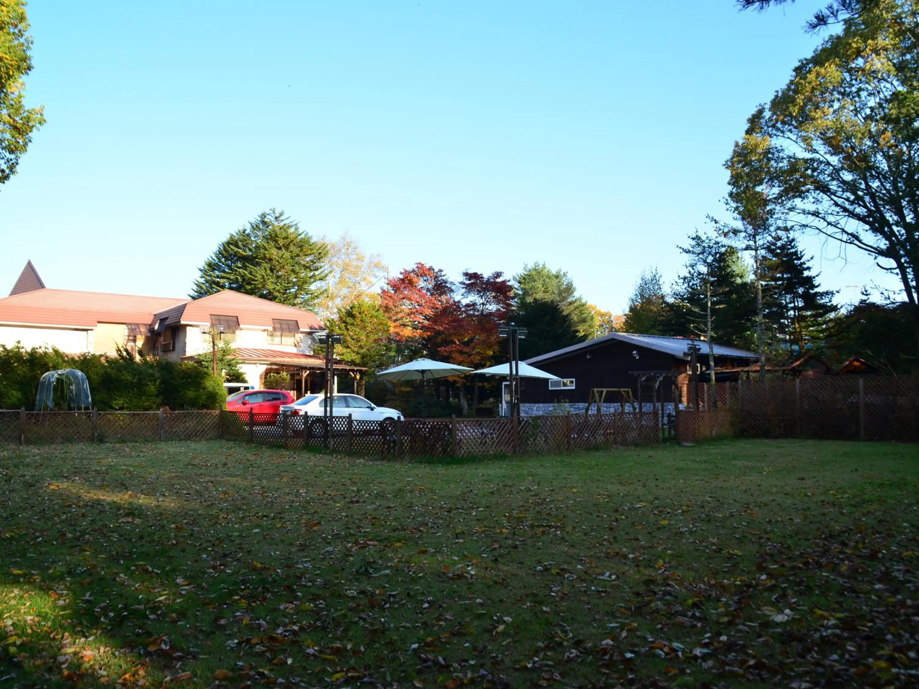 Animals in Pension Eden