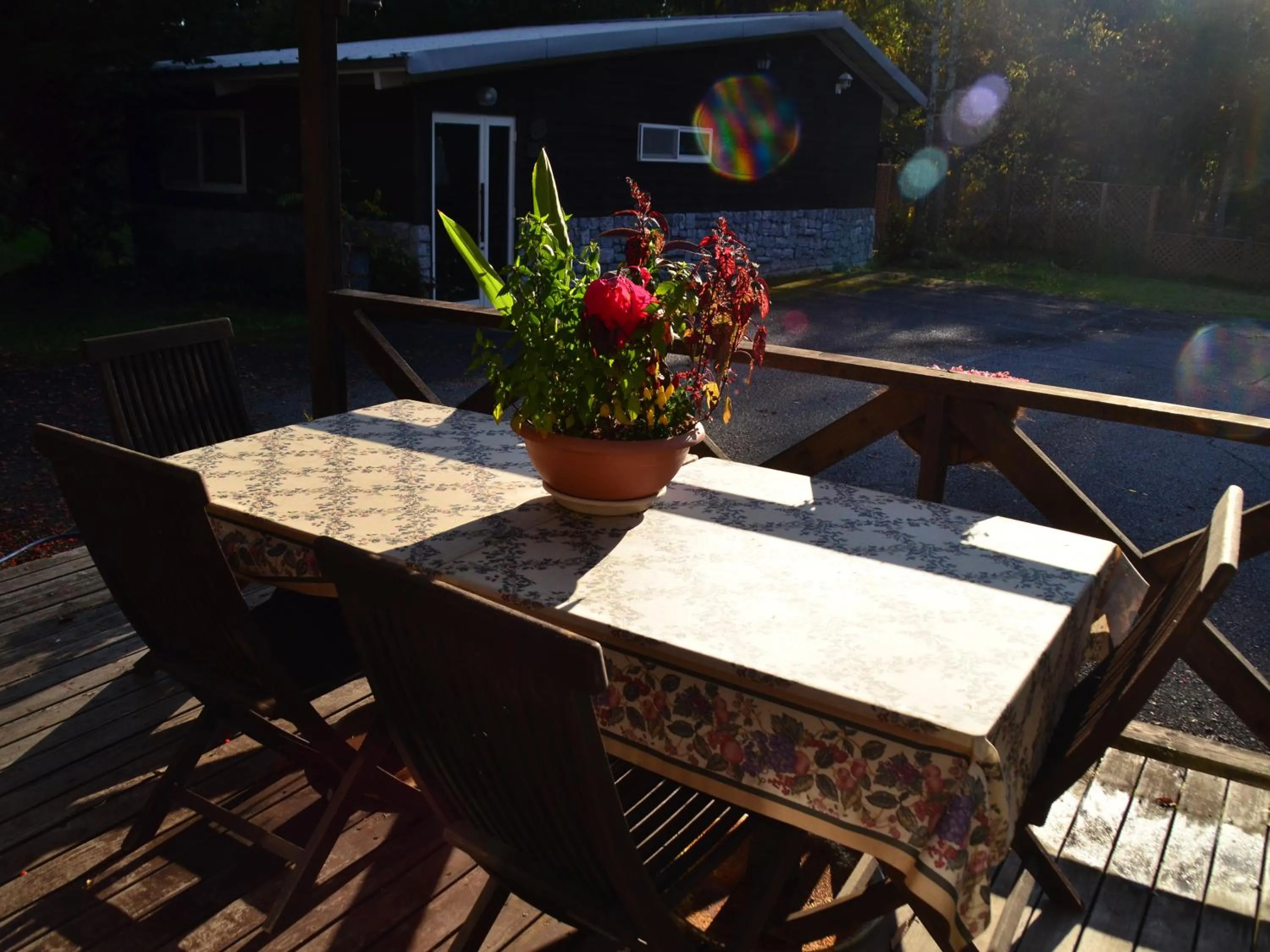 Balcony/Terrace in Pension Eden