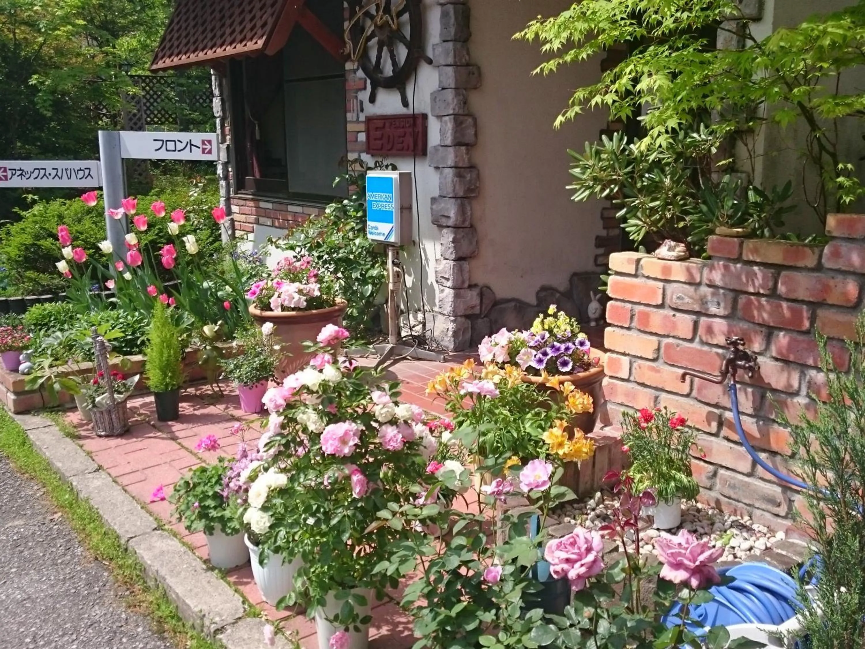 Facade/entrance in Pension Eden