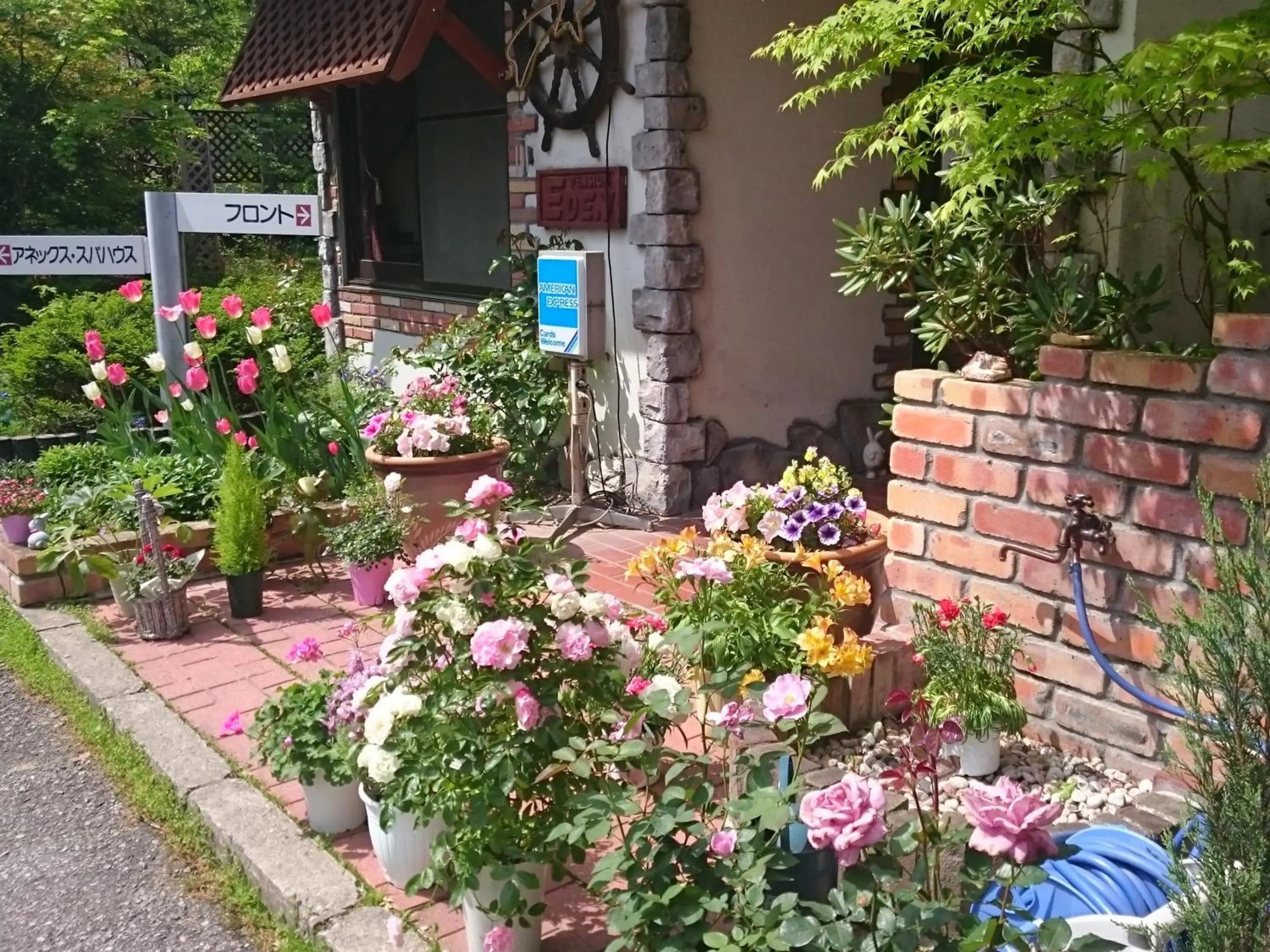 Facade/entrance in Pension Eden Facade/entrance in Pension Eden