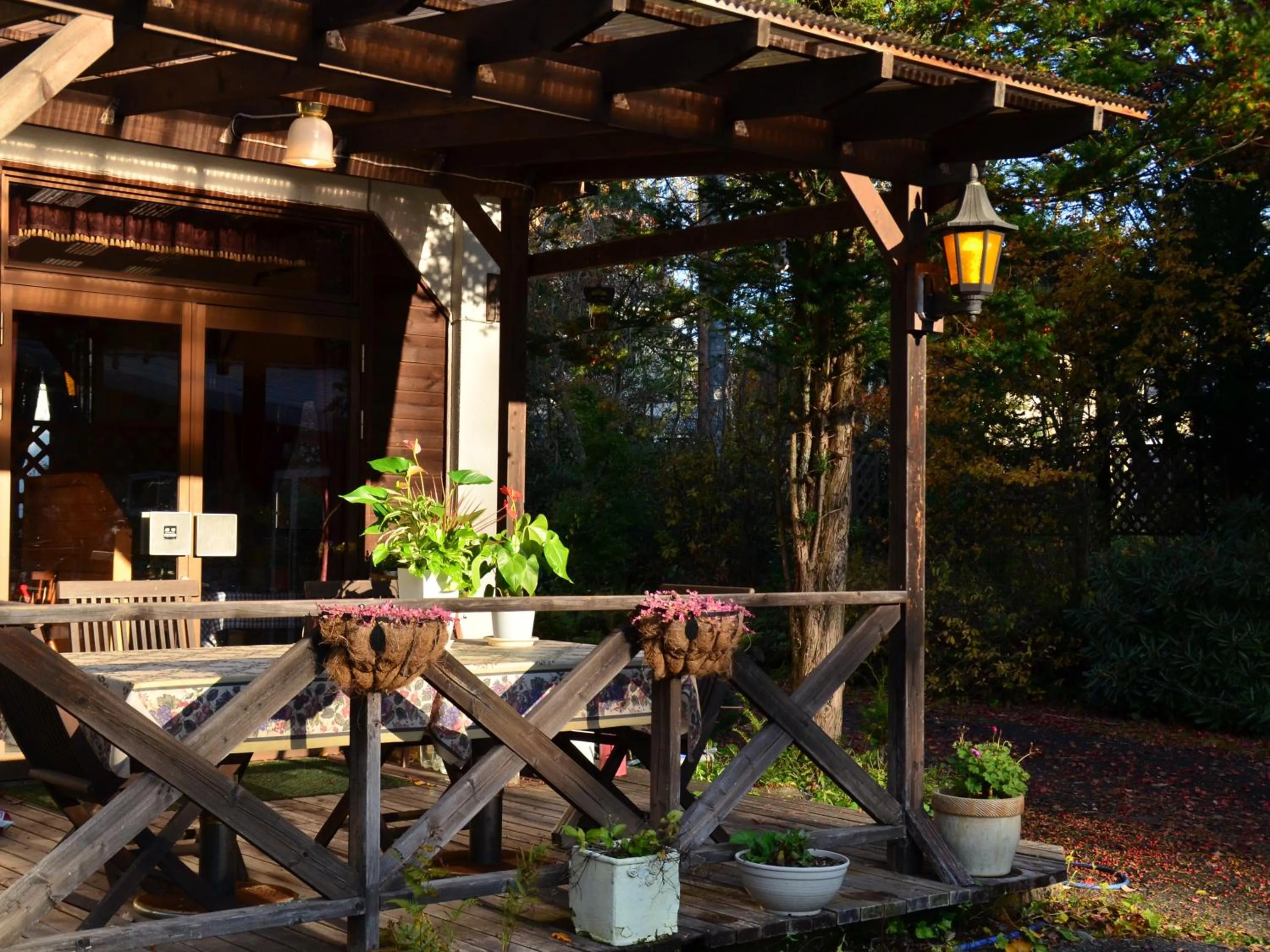 Balcony/Terrace in Pension Eden