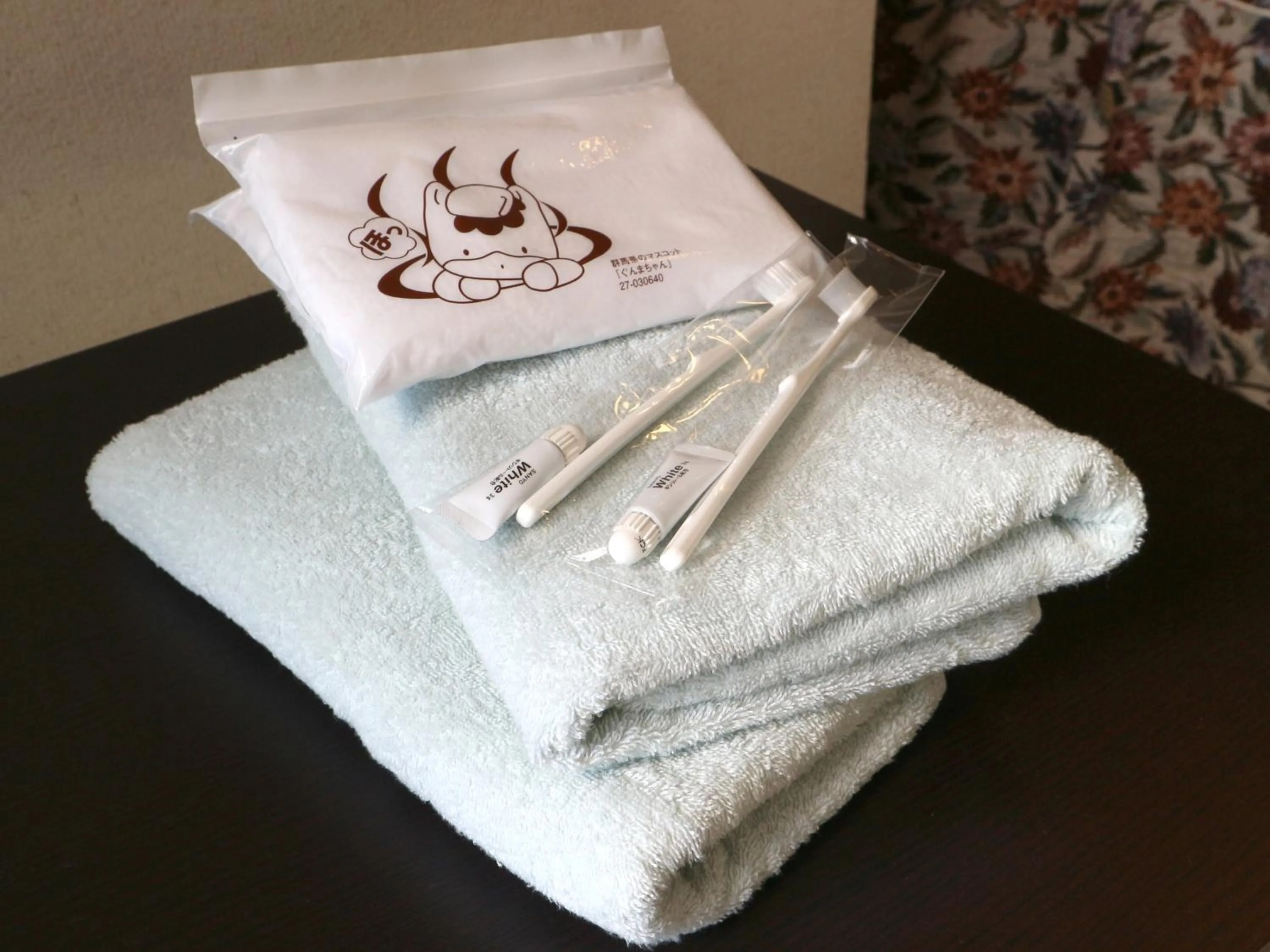 Photo of the whole room in Pension Eden