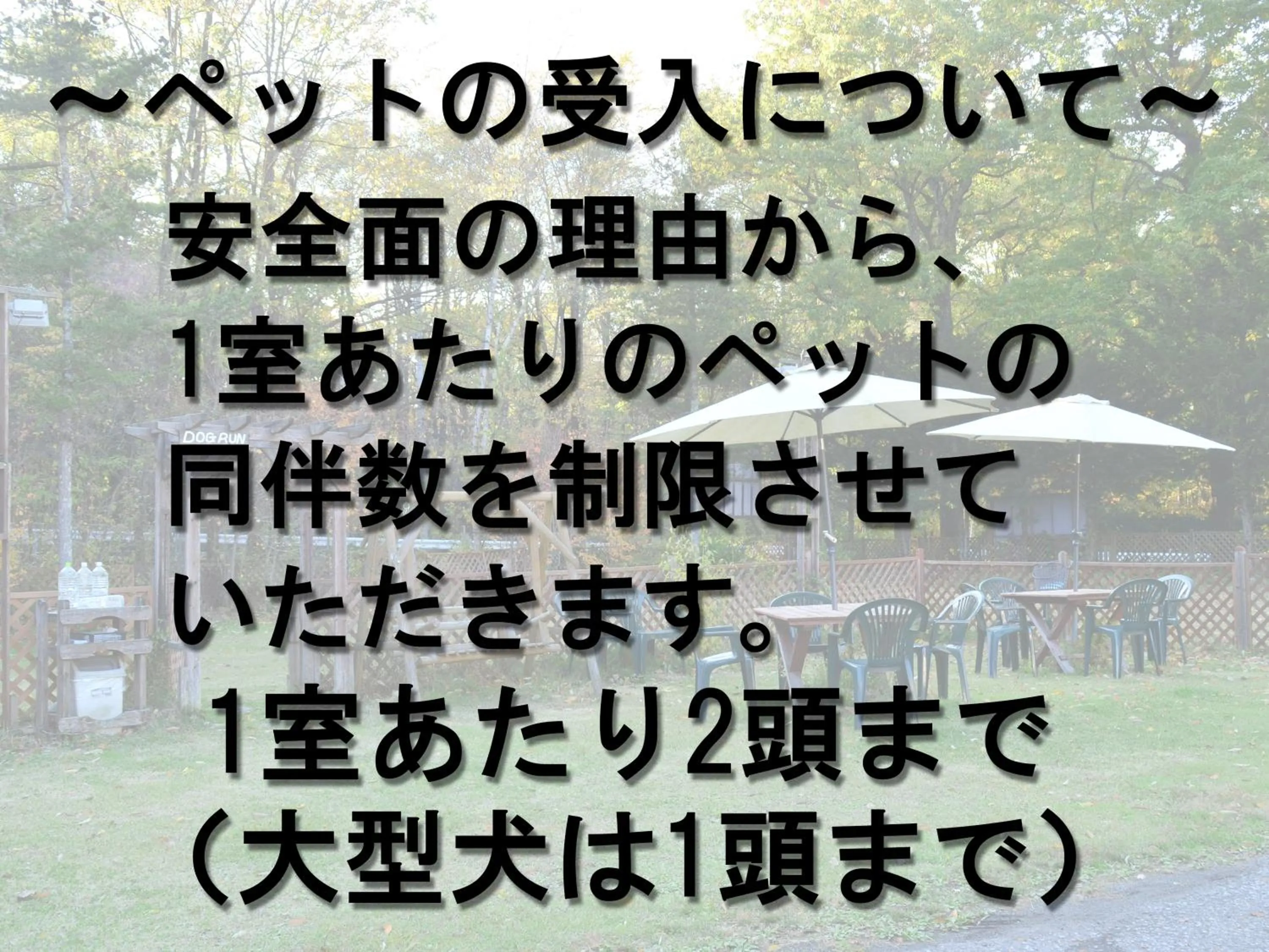 Area and facilities in Pension Eden