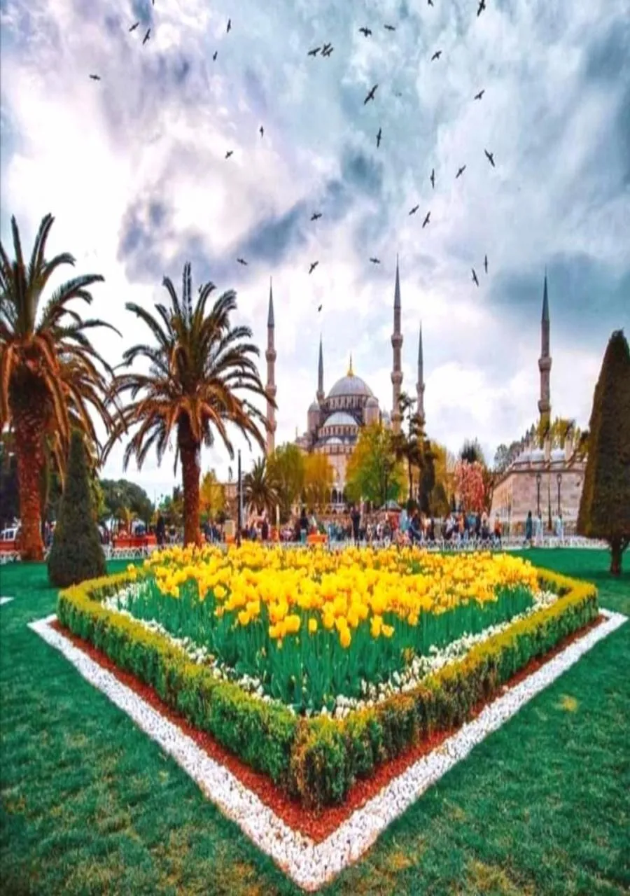 Billiard in Yasin Apart hotel