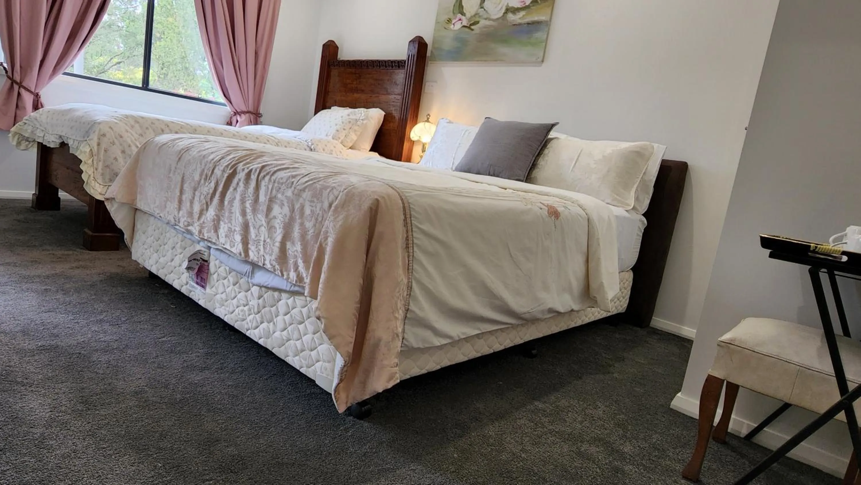 Bed in Gowrie Agapanthus