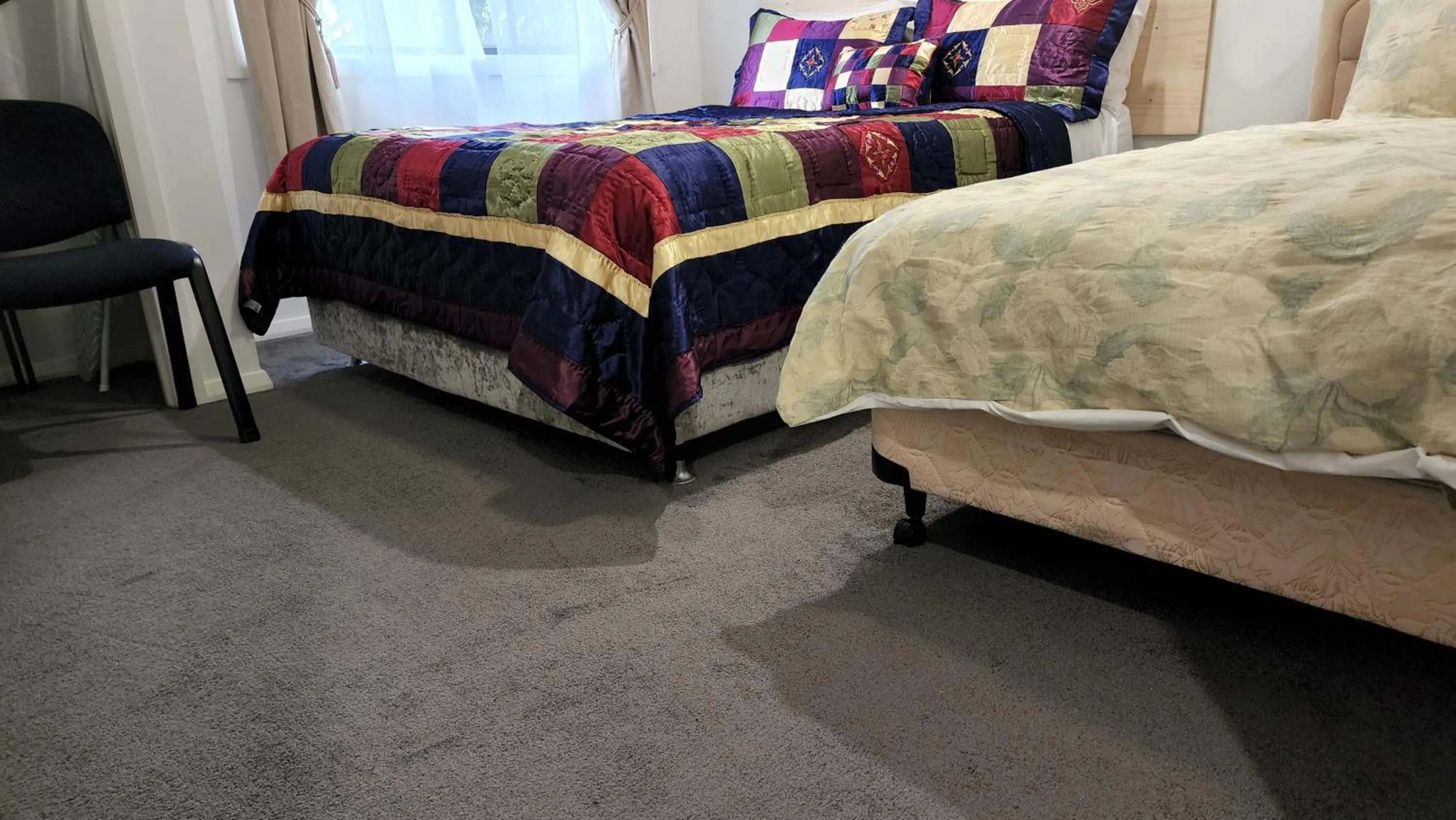 Bed in Gowrie Agapanthus