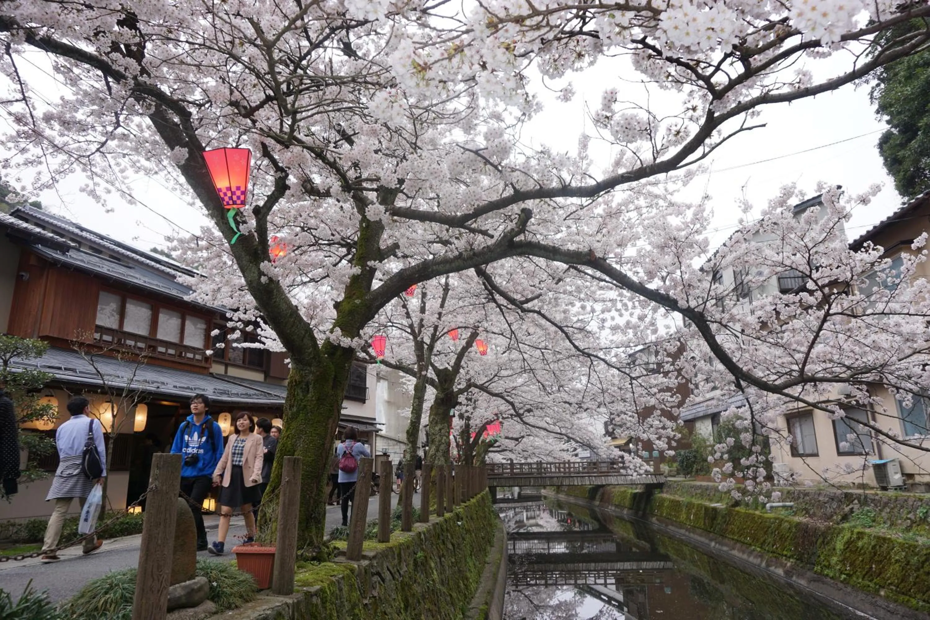 Area and facilities in Morizuya