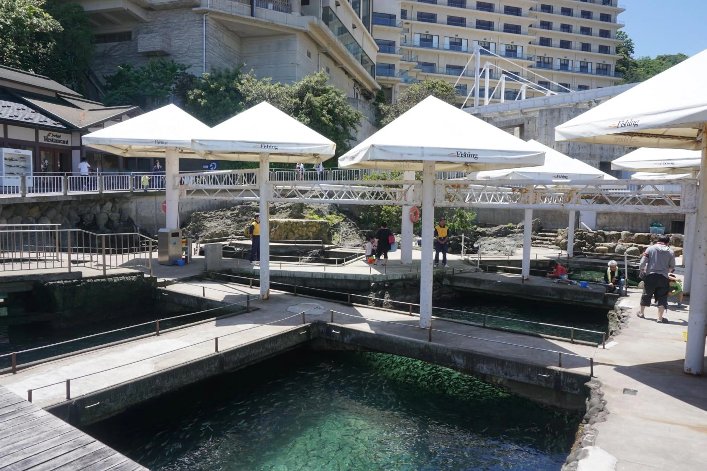 Swimming pool in Morizuya