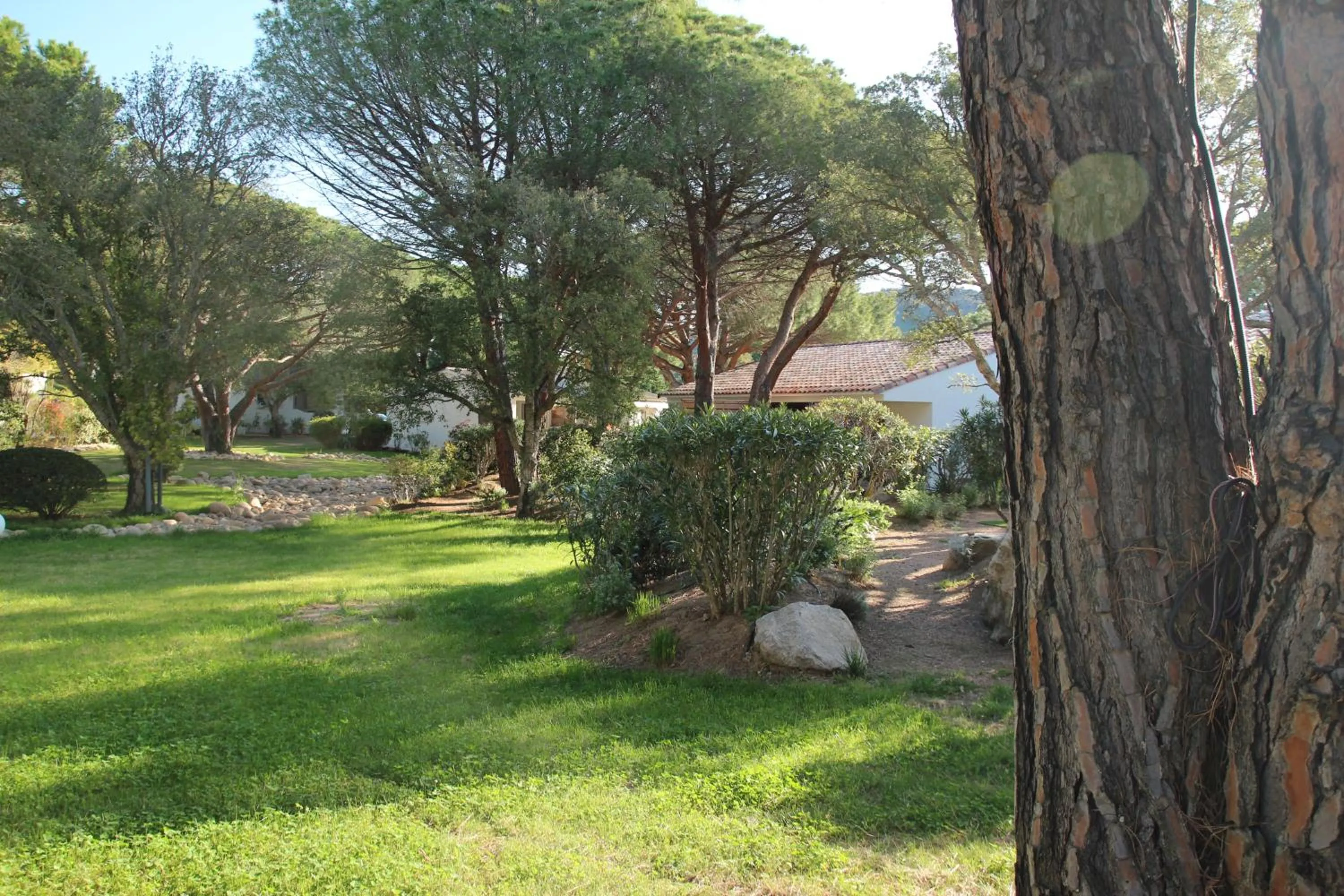 Garden in Les Pins de Santa Giulia