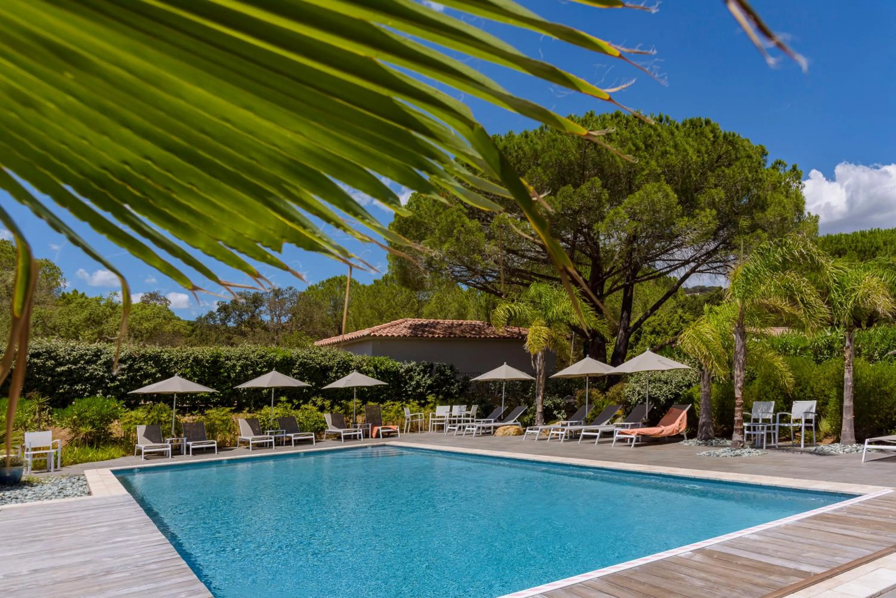 Pool view in Les Pins de Santa Giulia