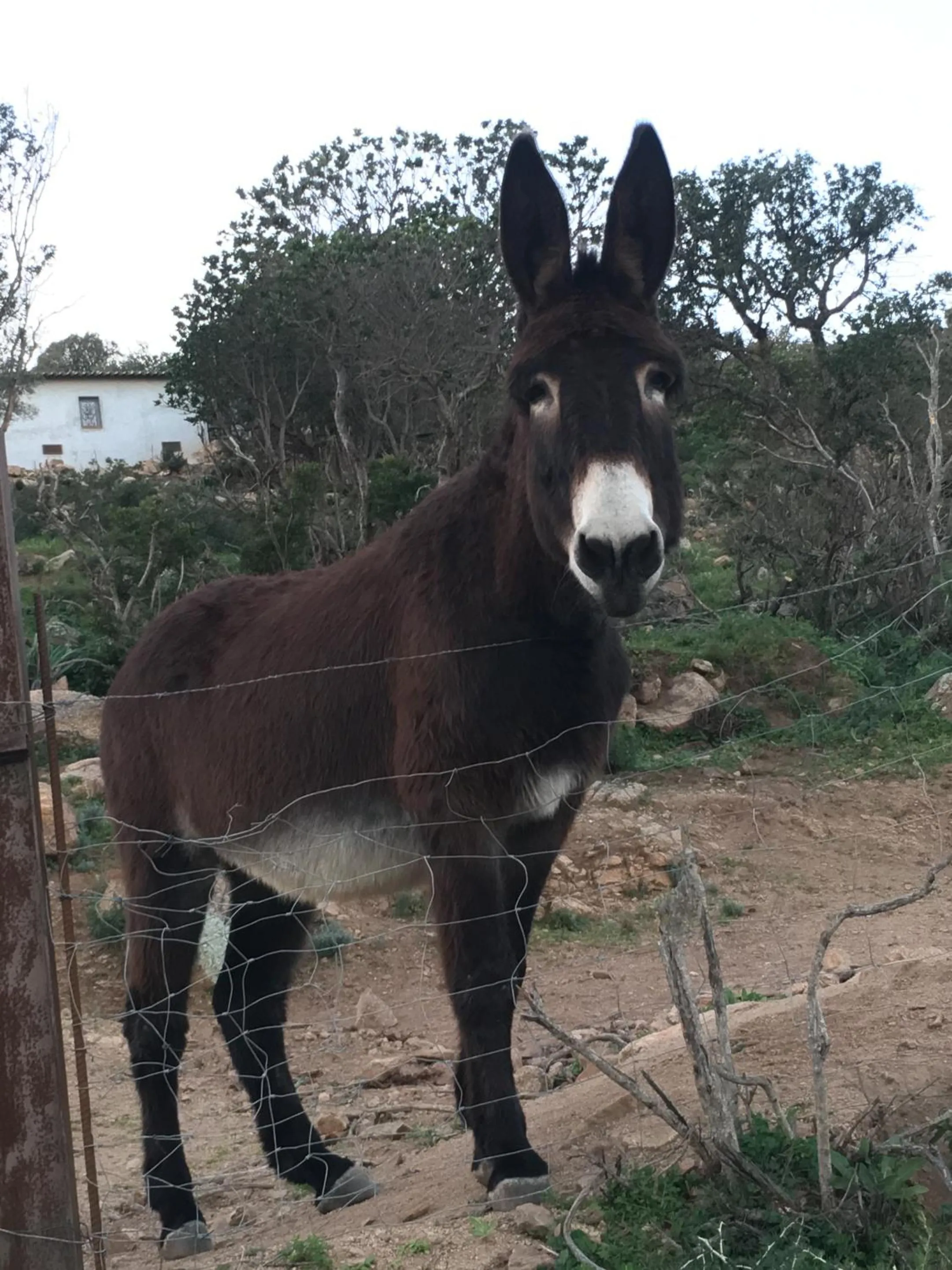Natural landscape in Chambres d'Hôtes Terra Bella Lecci