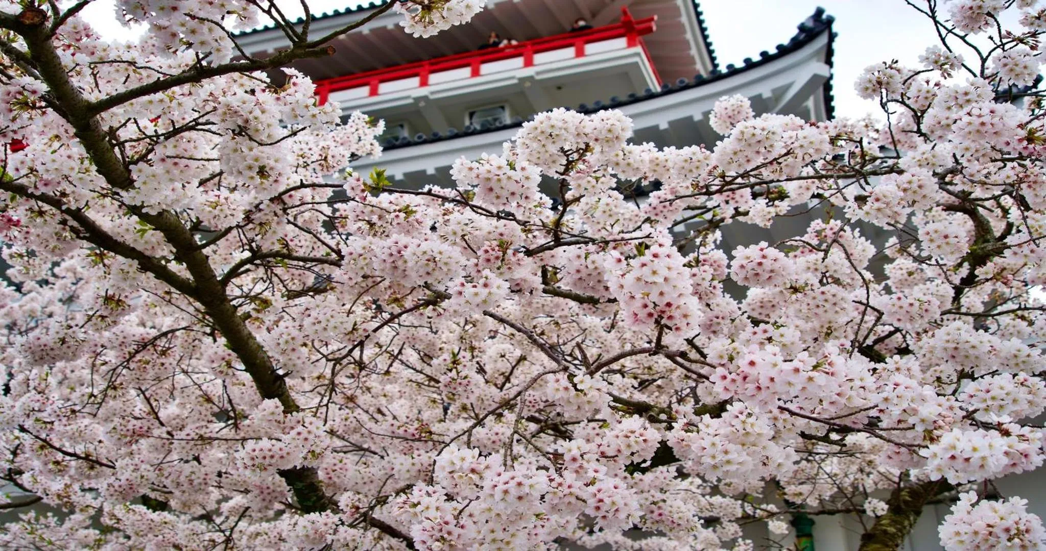 Nearby landmark in KAMENOI HOTEL Atami Annex