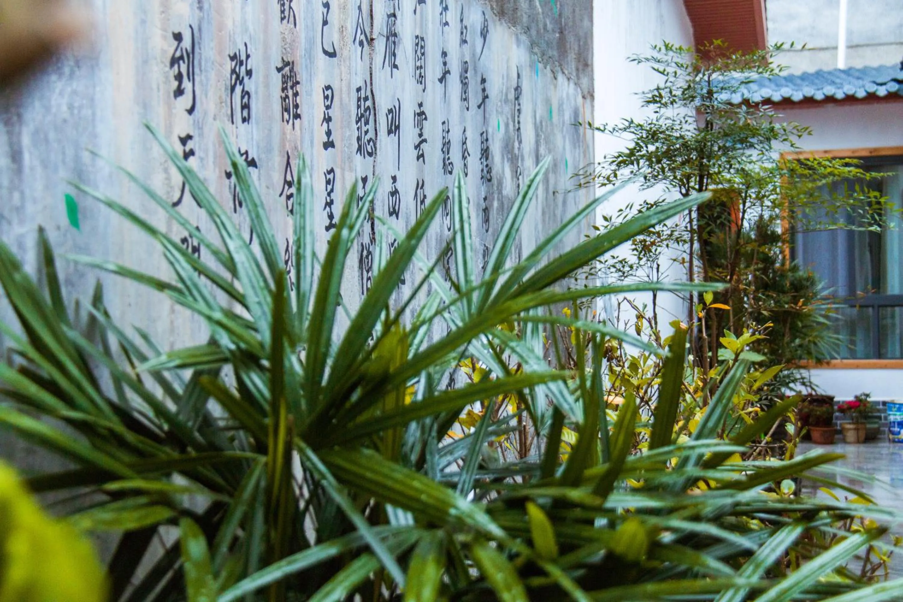 Zhangjiajie Tingyutang Little Yard