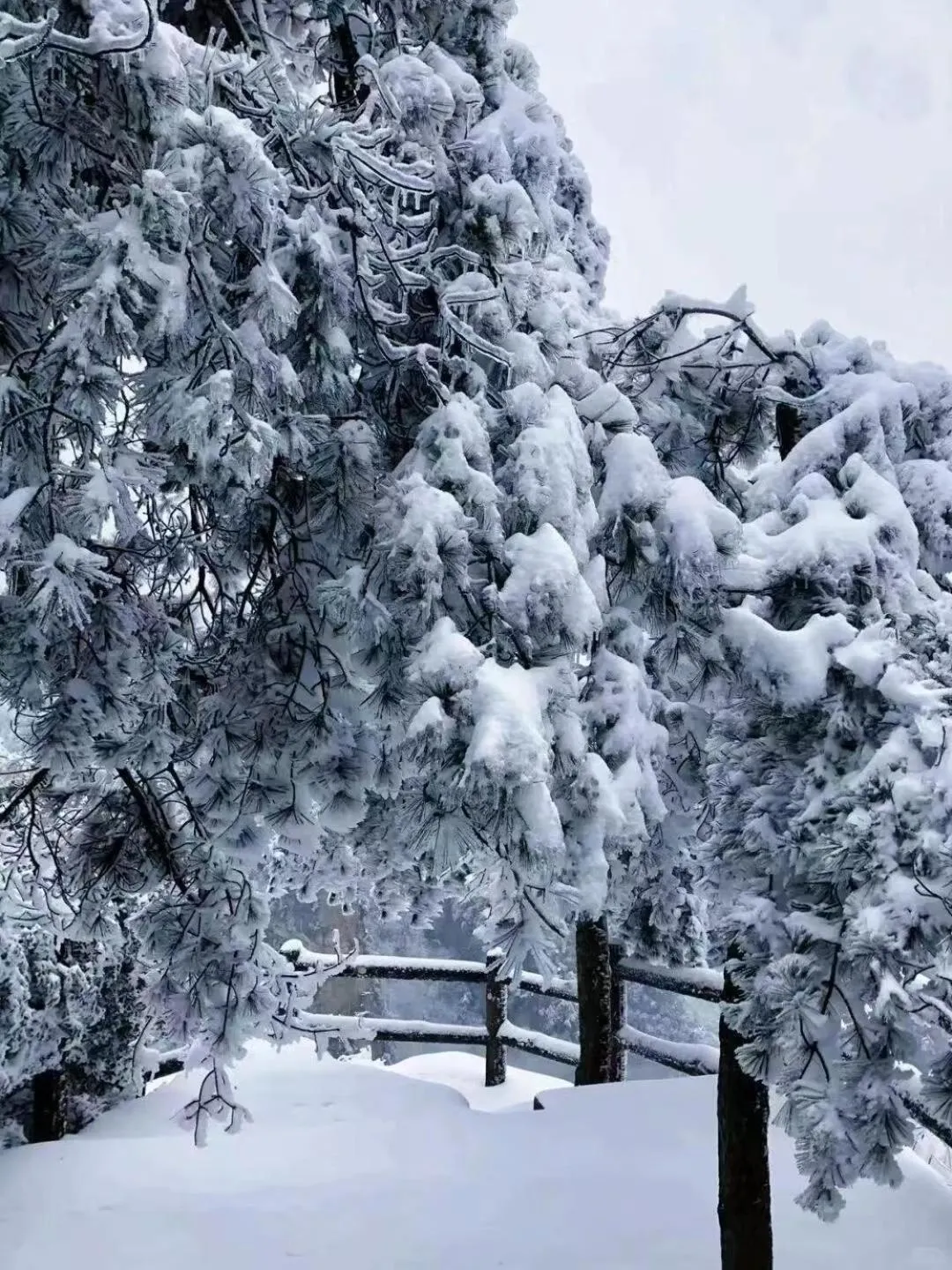 Property building in Zhangjiajie Tingyutang Little Yard