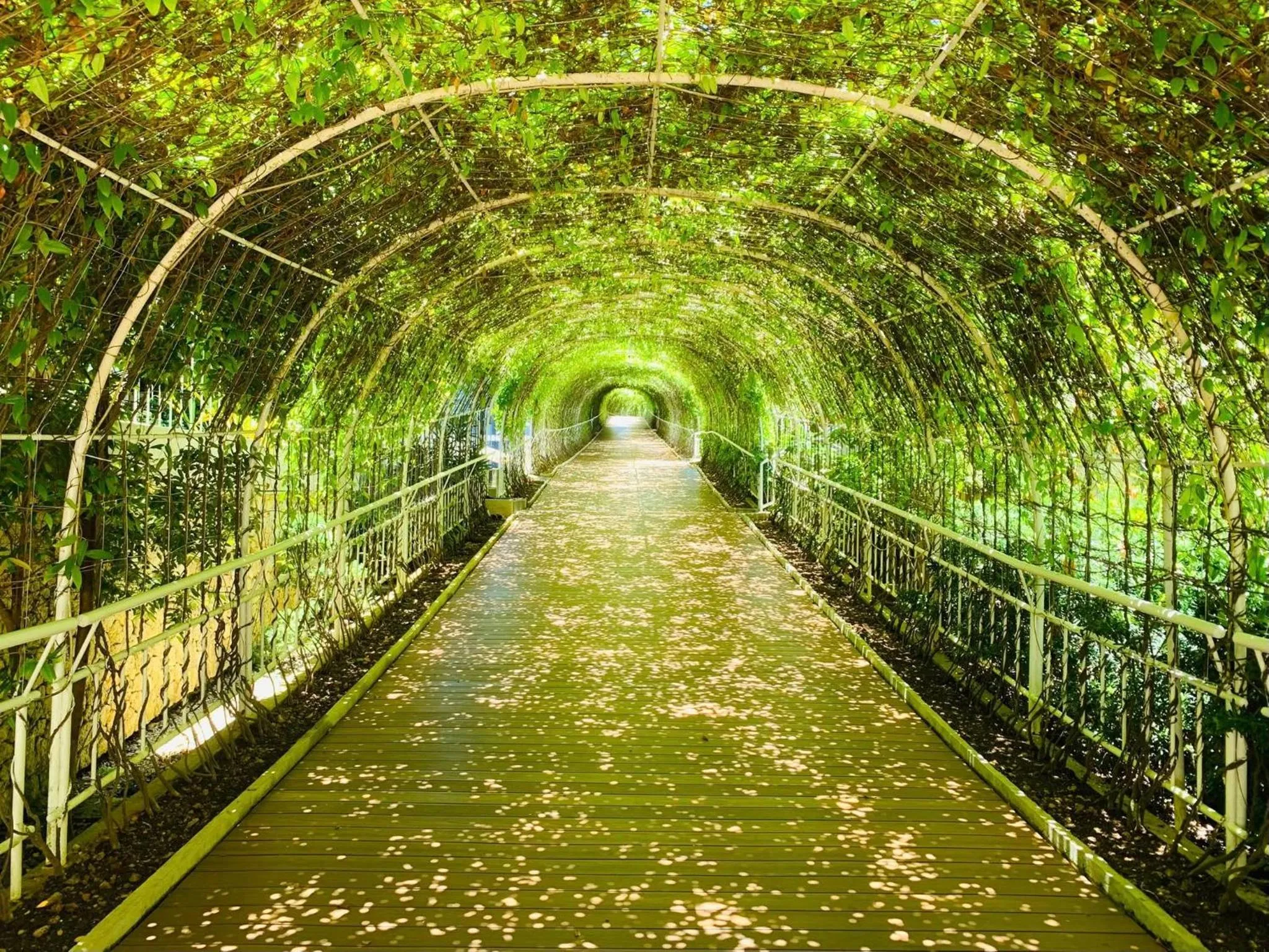 Garden in Pinnacle Boracay