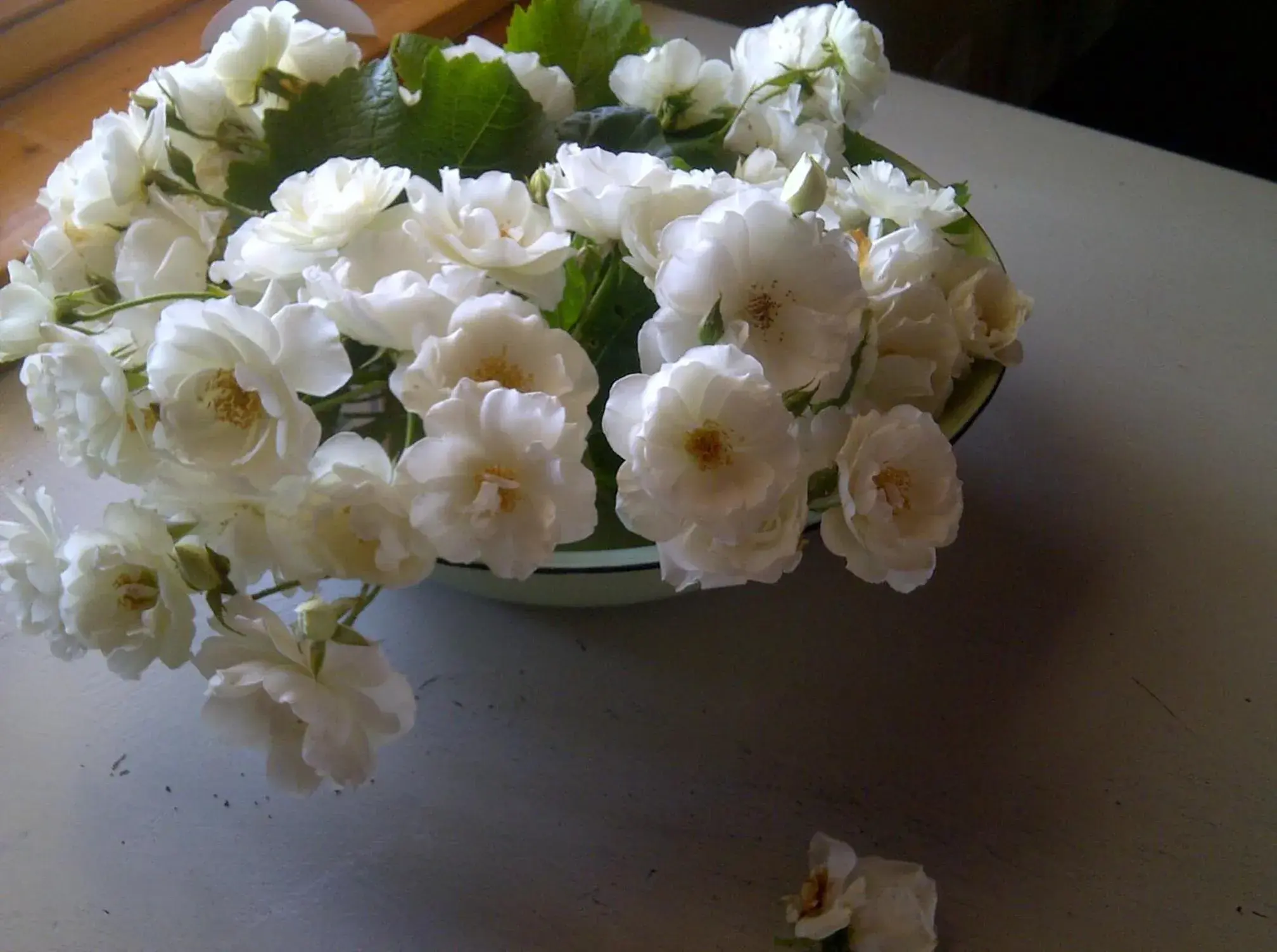 Property building in The Vineyard Country House Property building in The Vineyard Country House