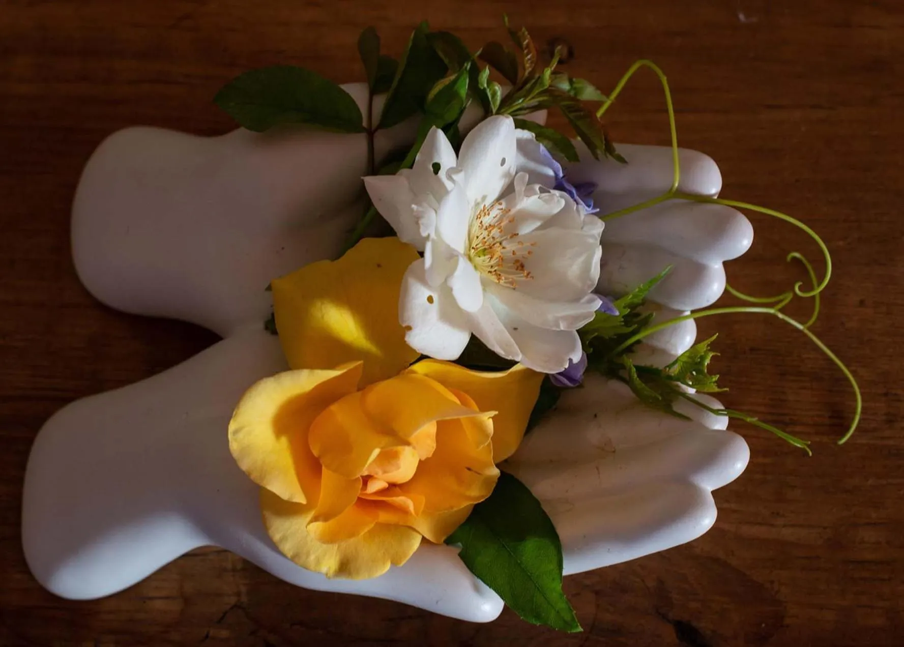 Food and drinks in The Vineyard Country House