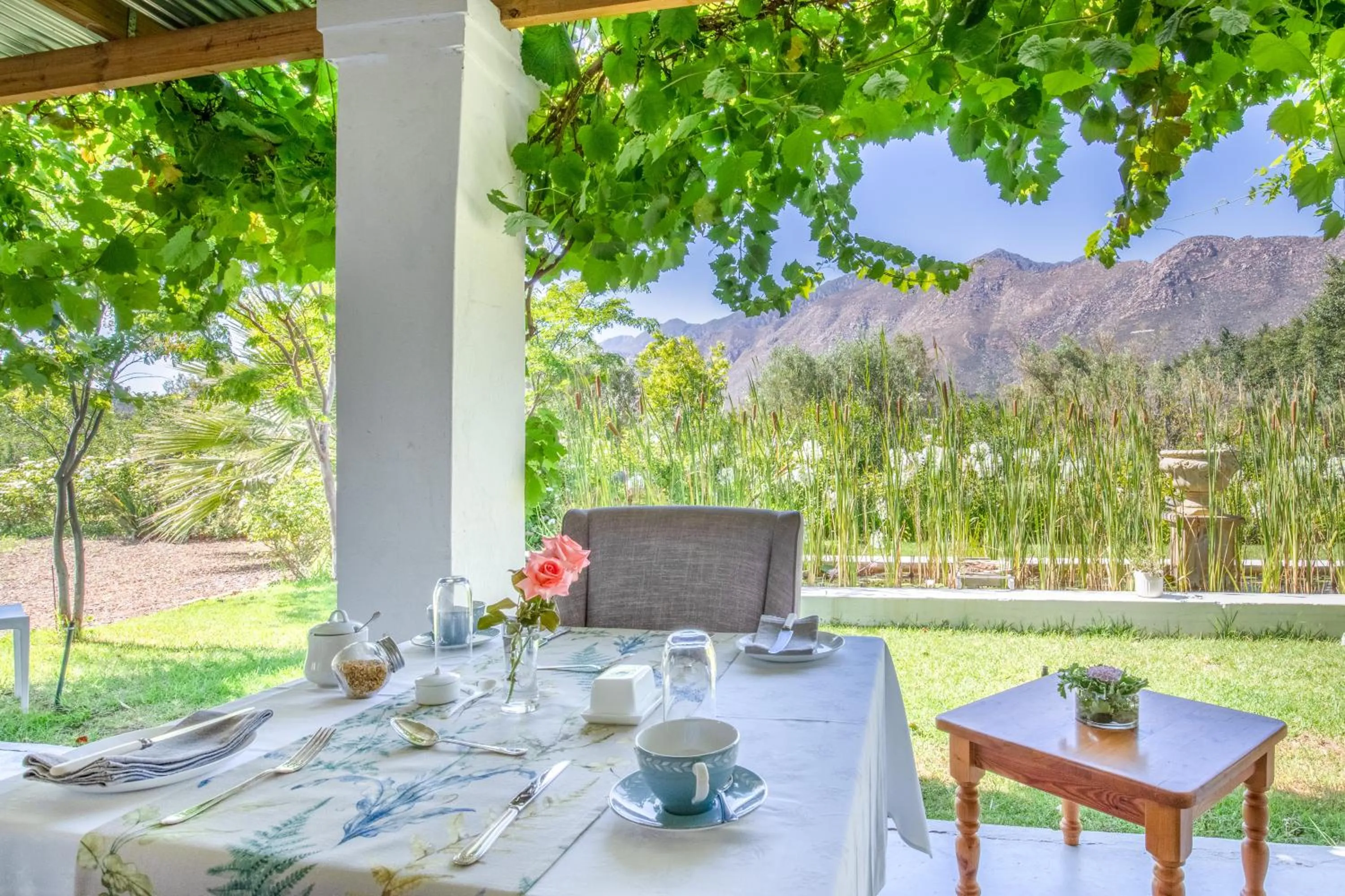 Breakfast in The Vineyard Country House