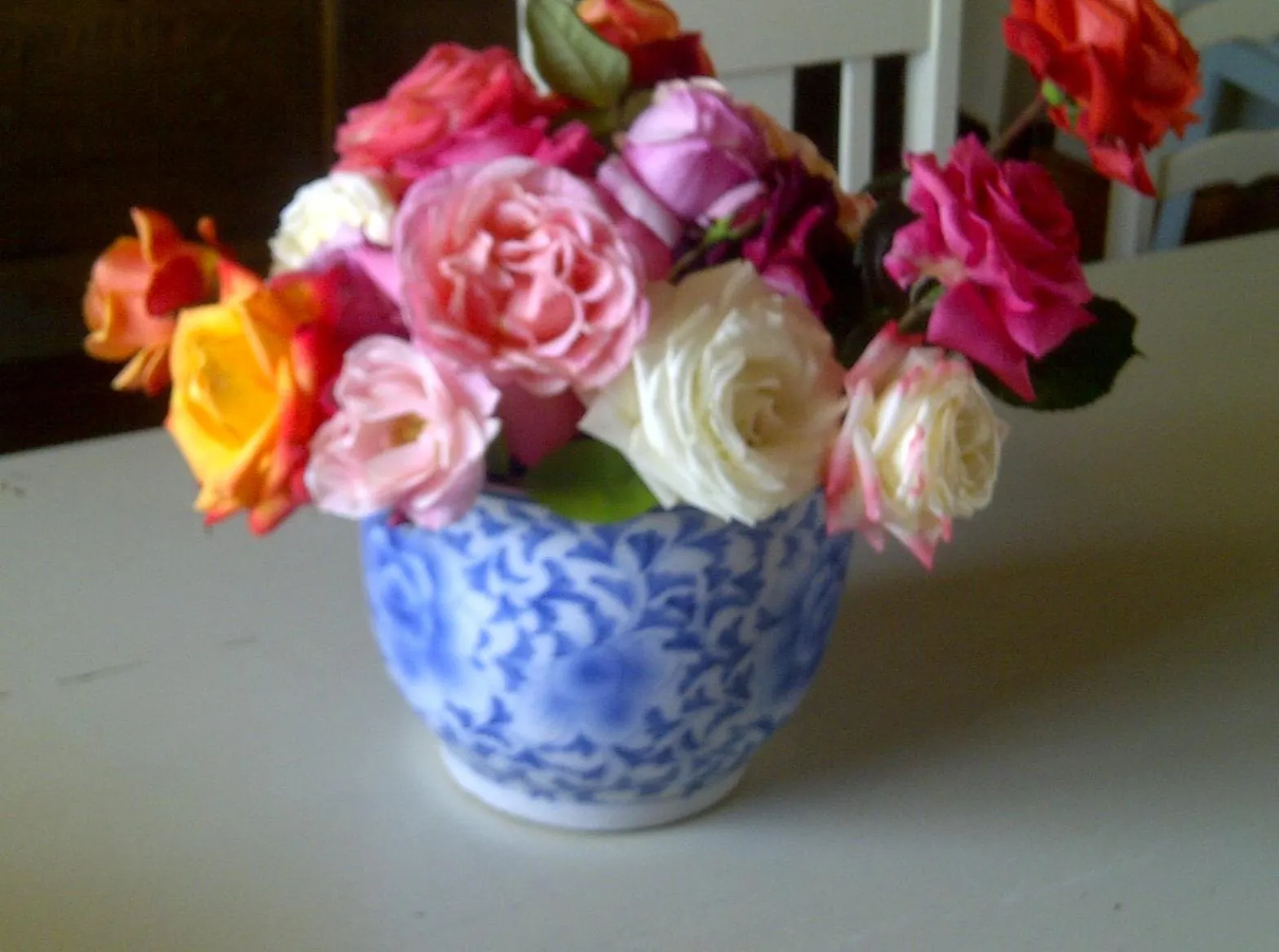 Food and drinks in The Vineyard Country House