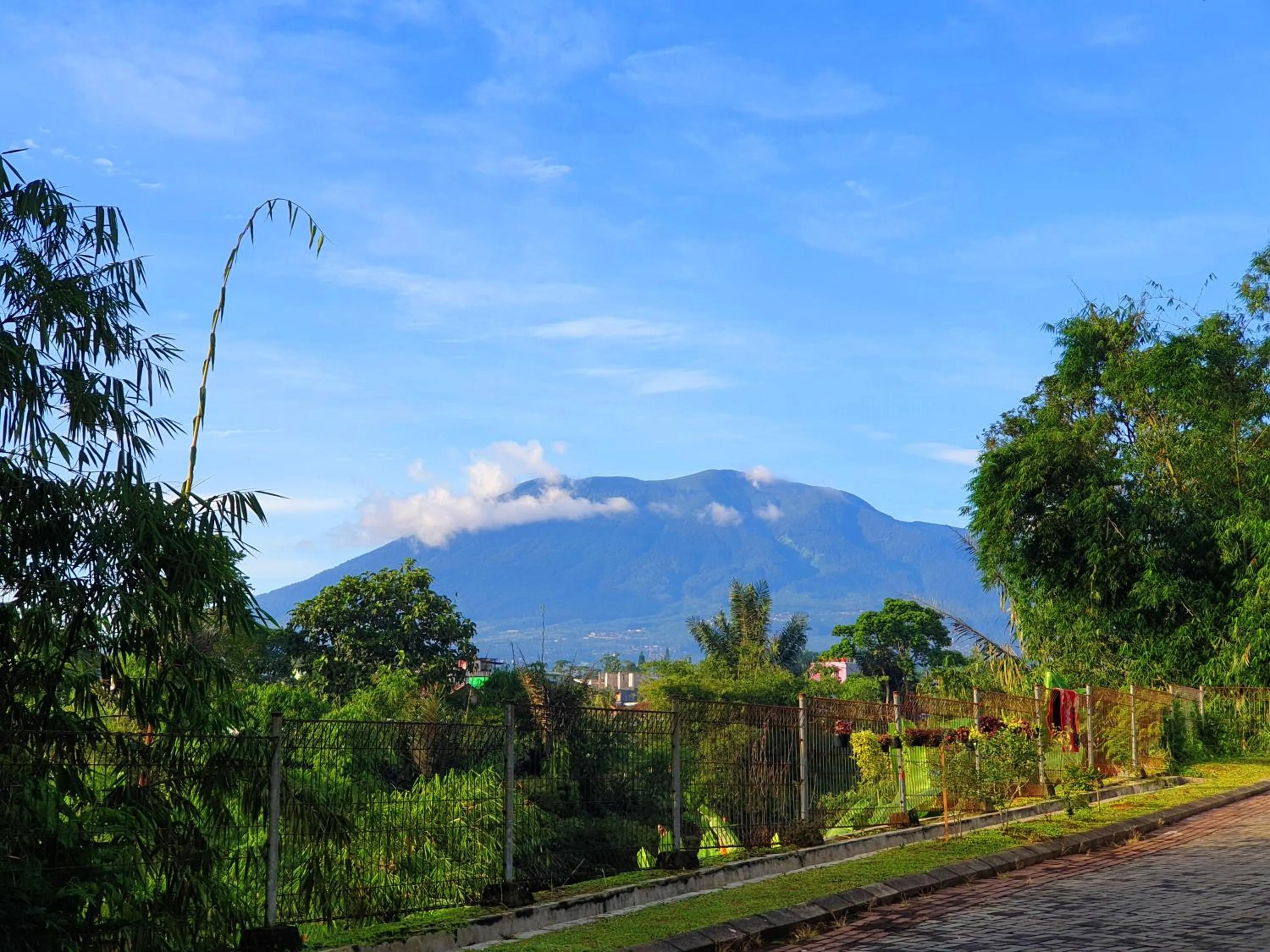 Villa Miky Kota Bunga Puncak Cianjur Bogor