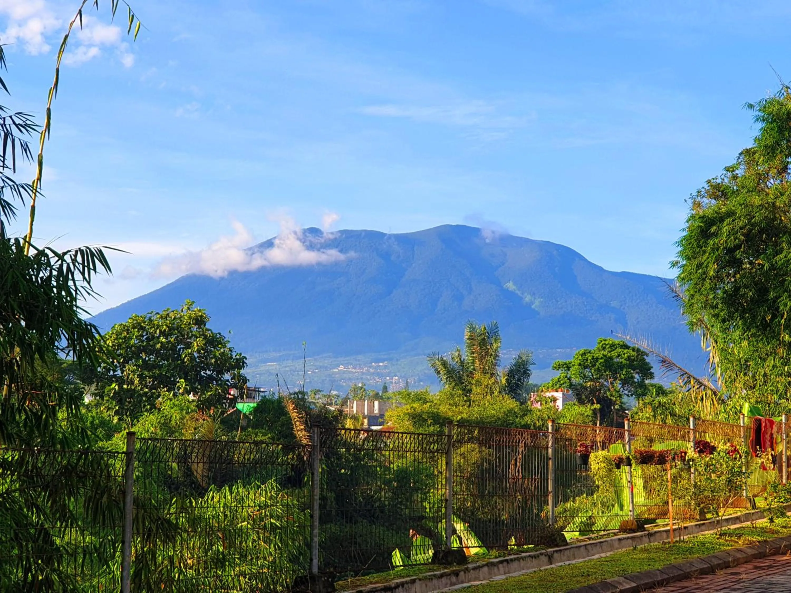 Villa Miky Kota Bunga Puncak Cianjur Bogor