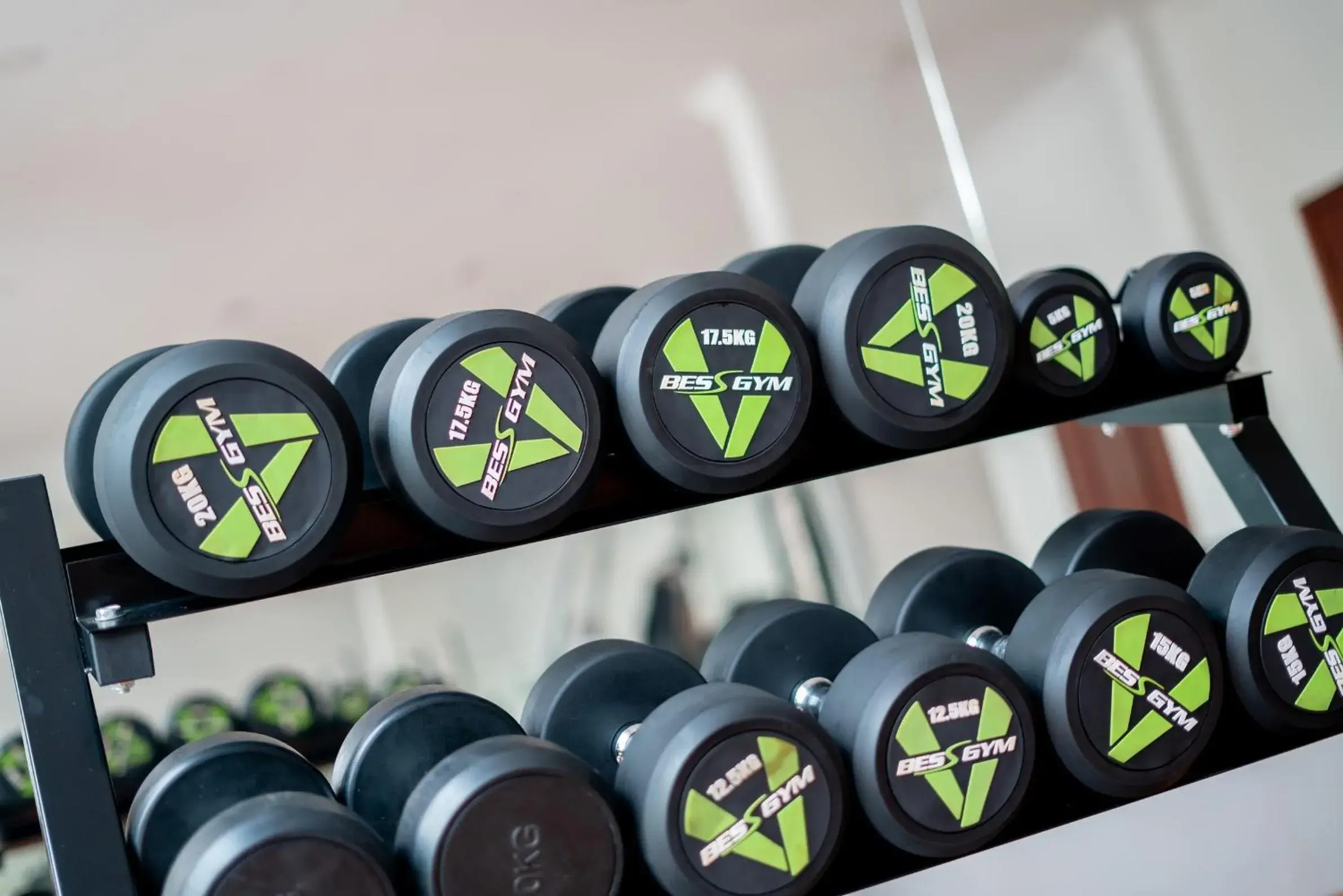 Fitness centre/facilities in Hotel De La Renaissance Fitness centre/facilities in Hotel De La Renaissance