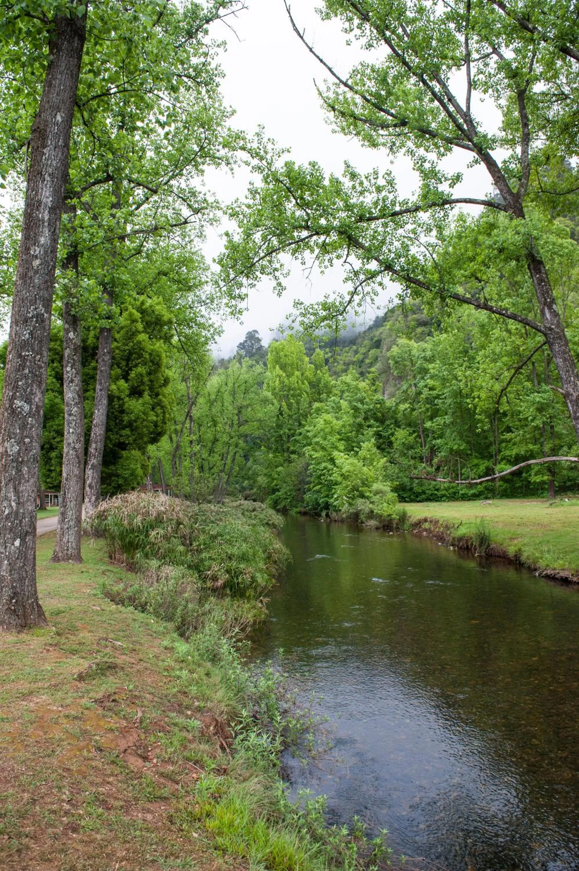 Fishing in Merry Pebbles Resort